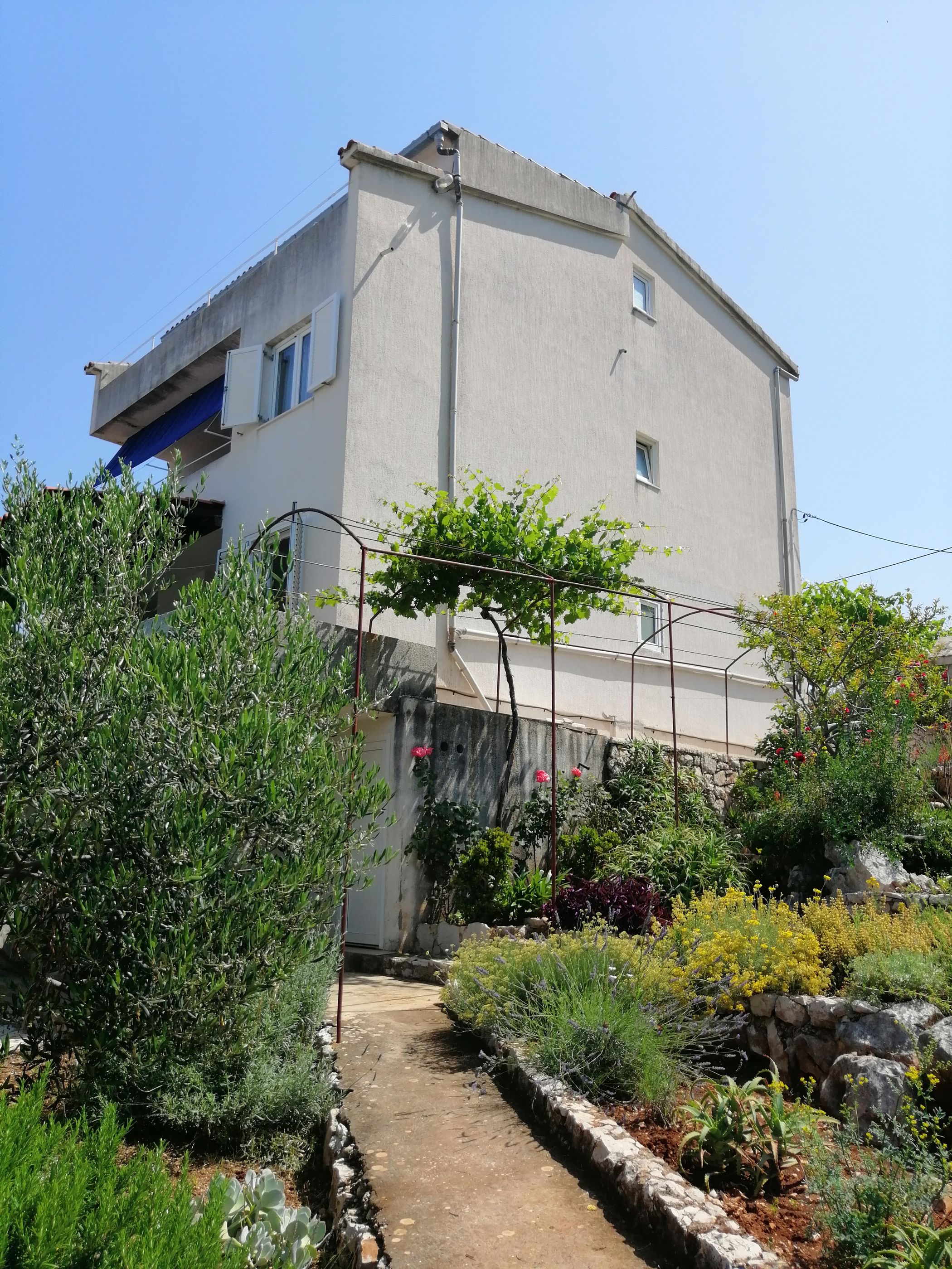 Apartments Boni 69571-A5
