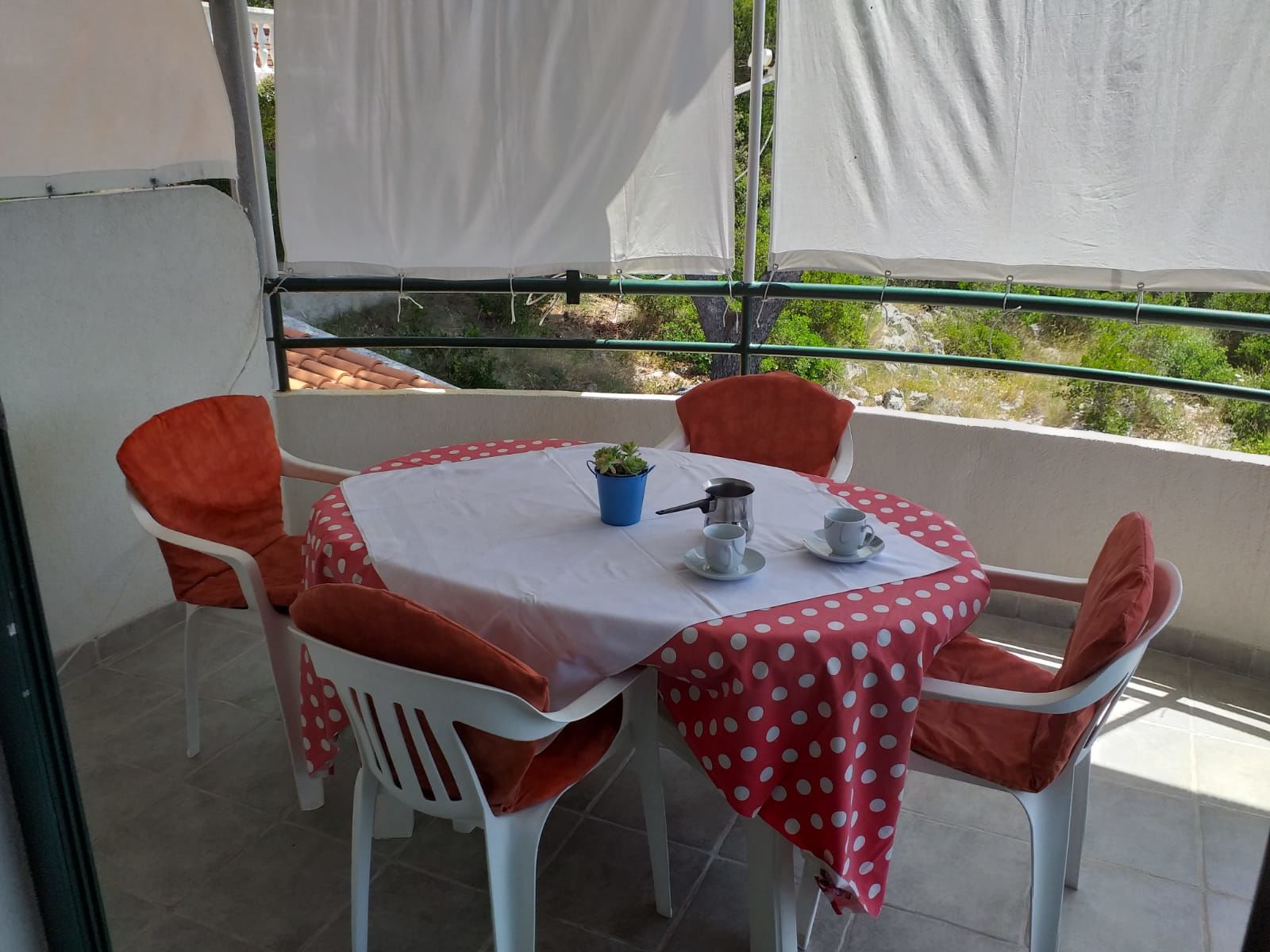 Apartments Rosa 24511-A1
