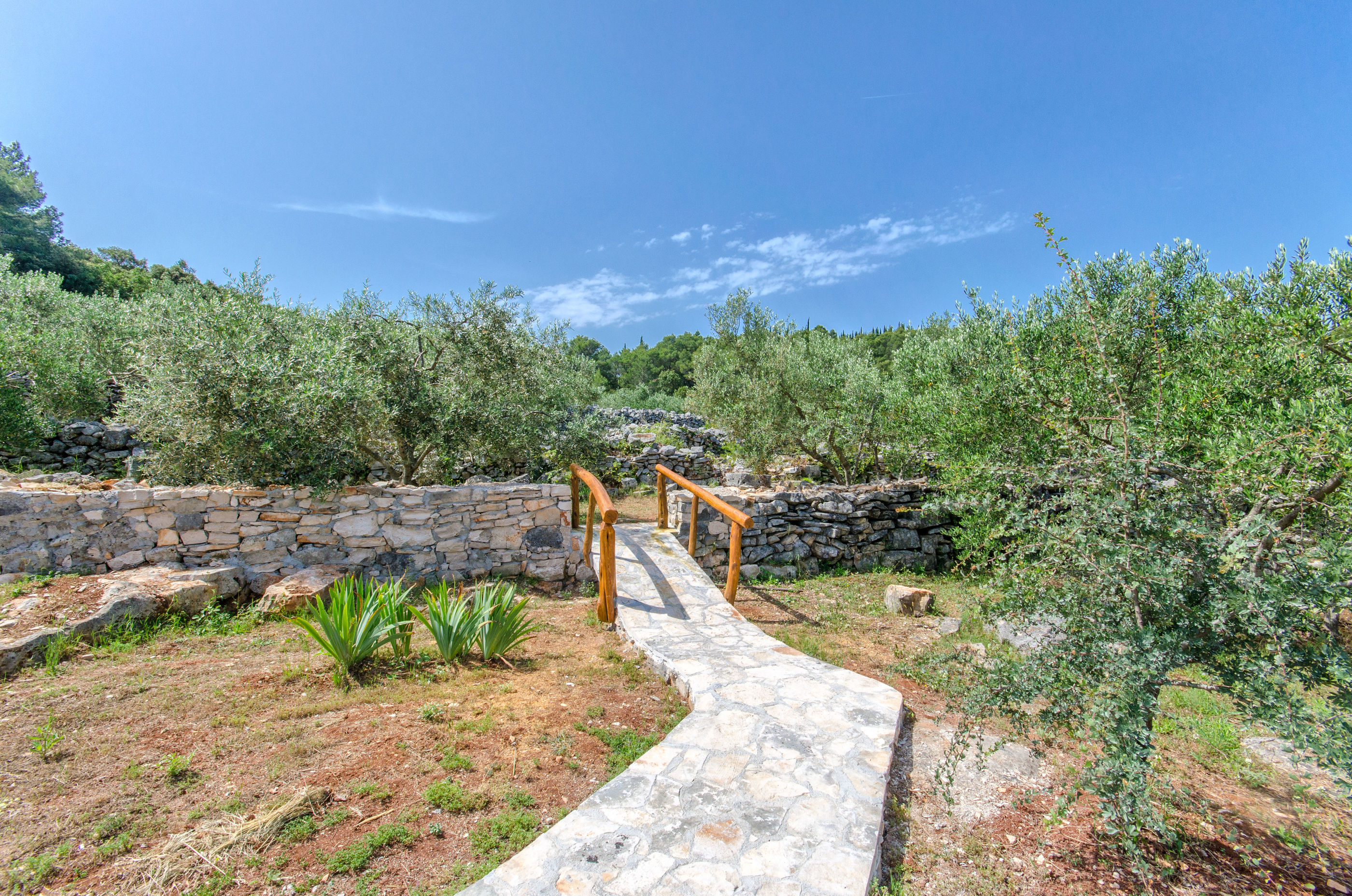 Photo of House Nikica