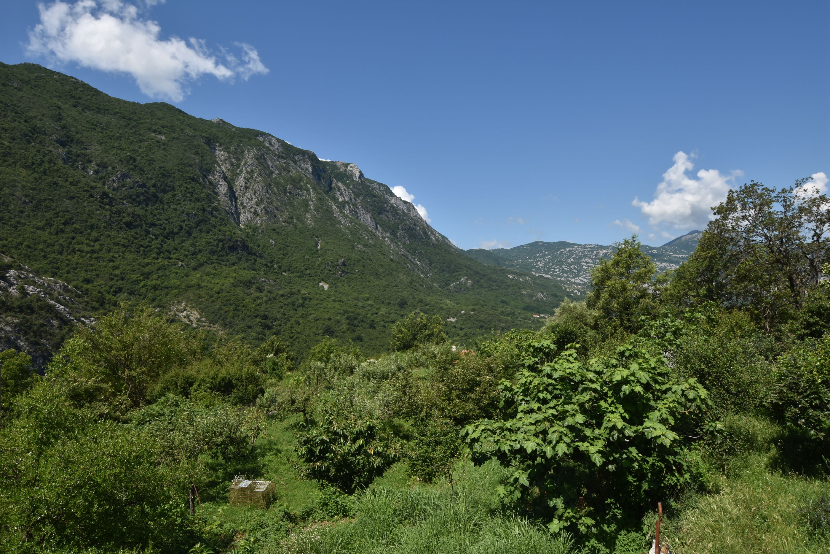 Rooms Sveti Toma 70201-S1
