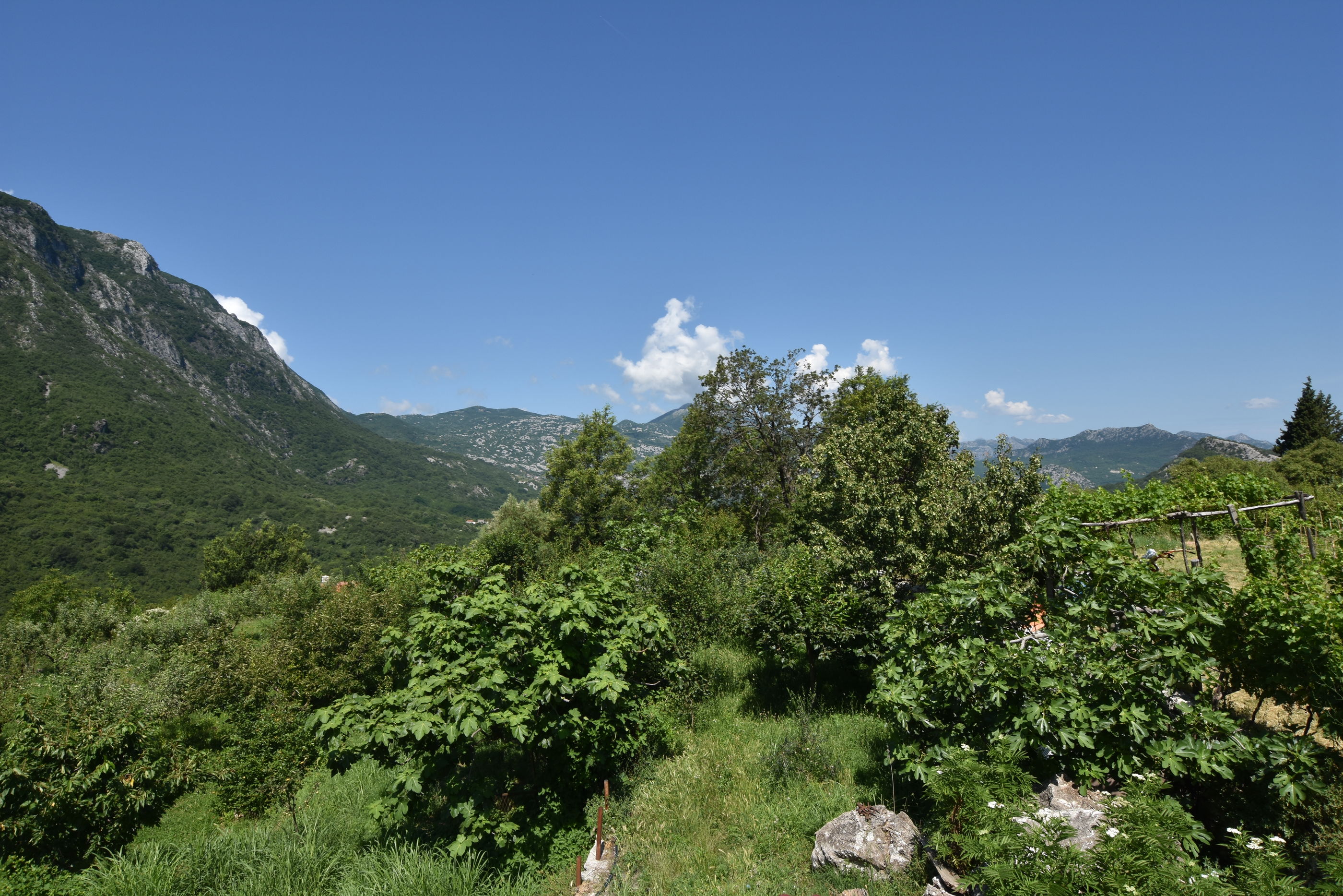 Rooms Sveti Toma 70201-S2