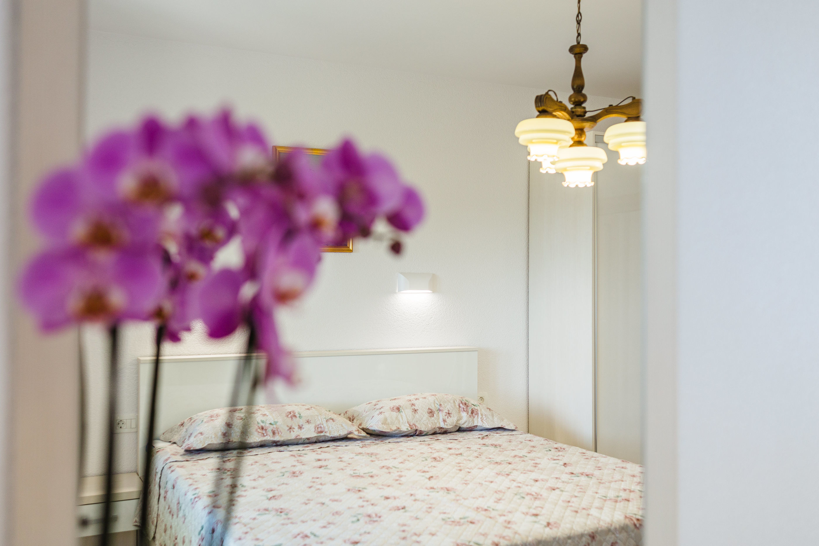 Apartments Katica 71001-A2