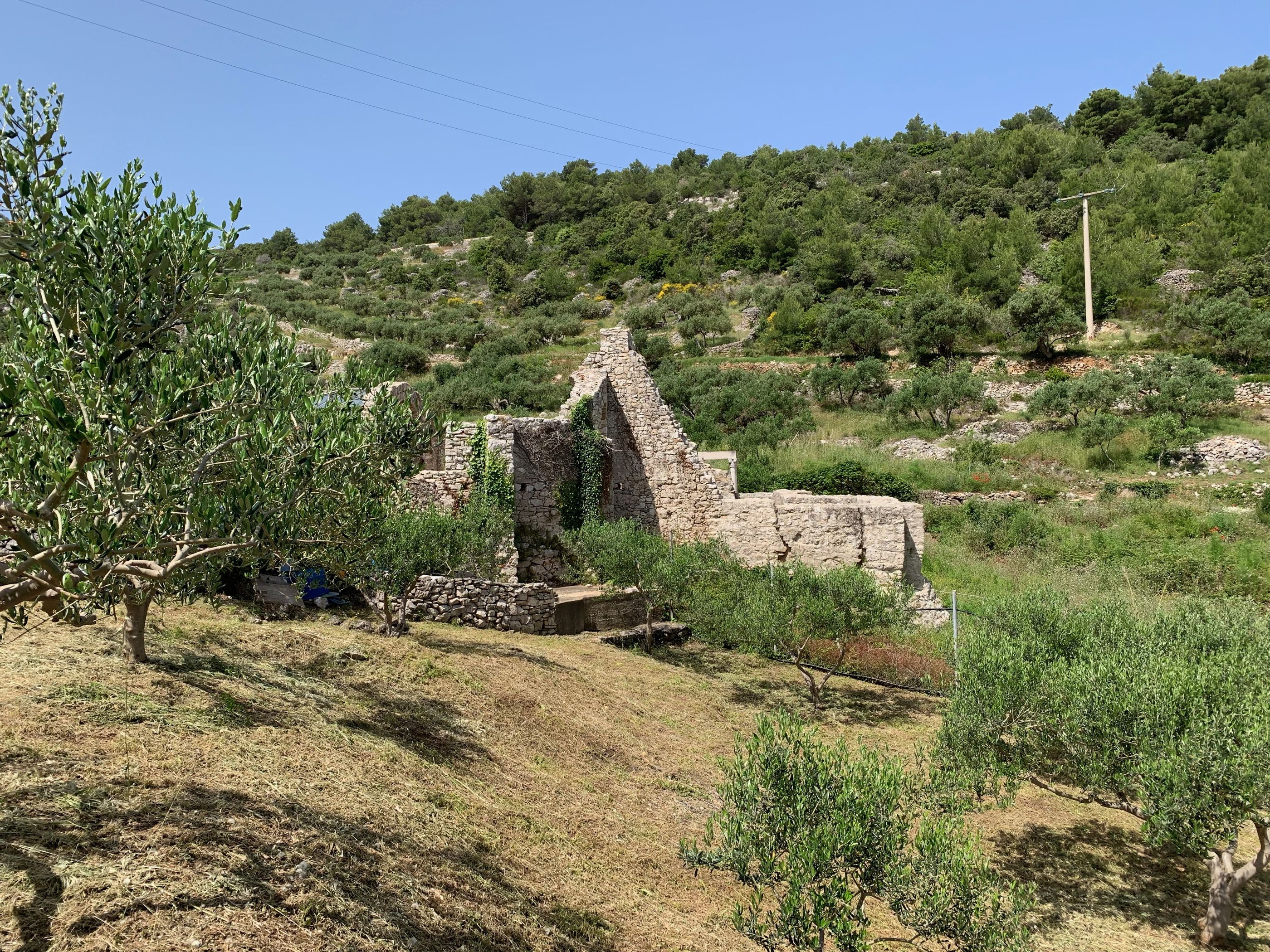 House Ivica 34902-K1