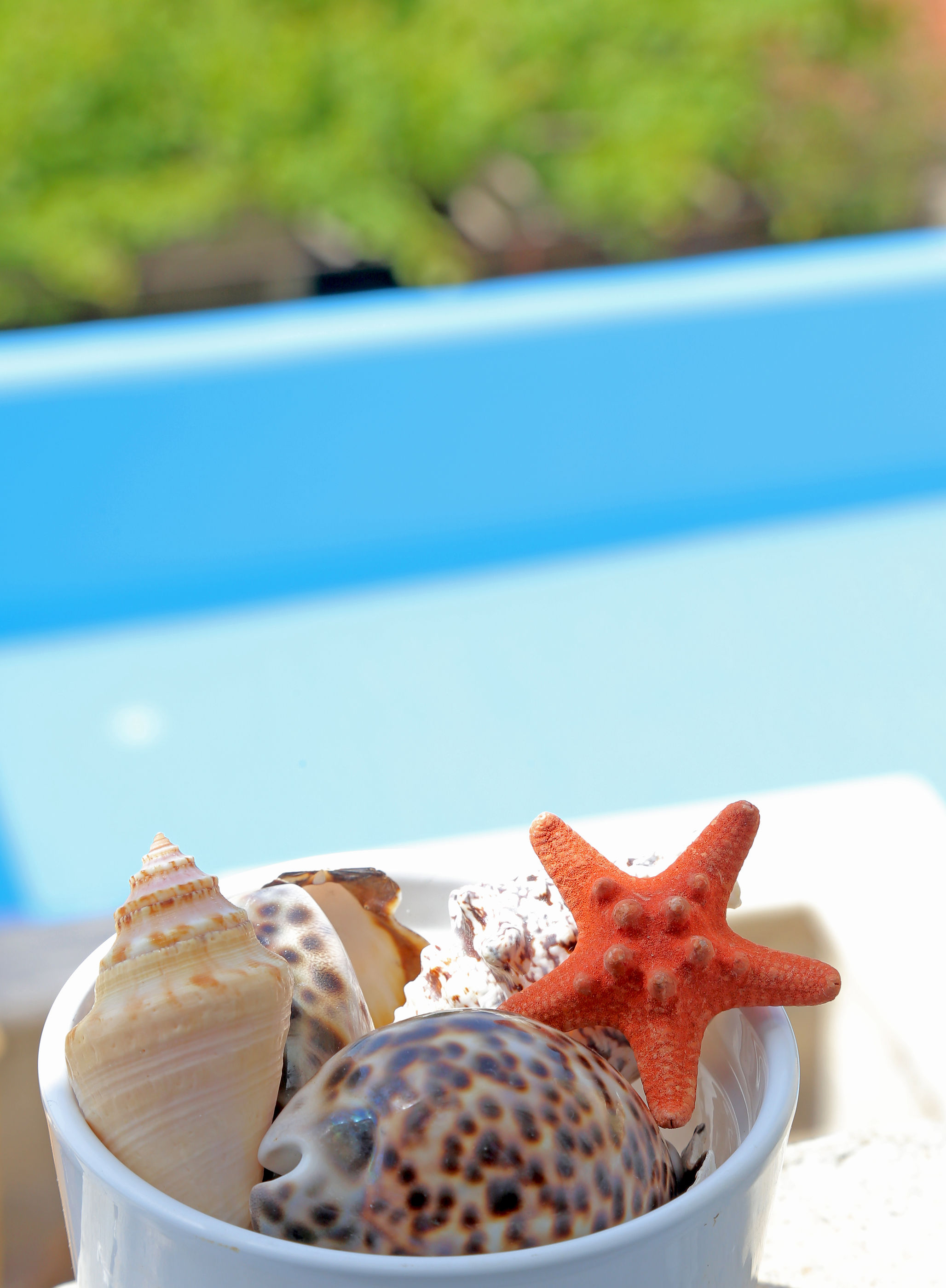 Villa Sea star V6101-K1