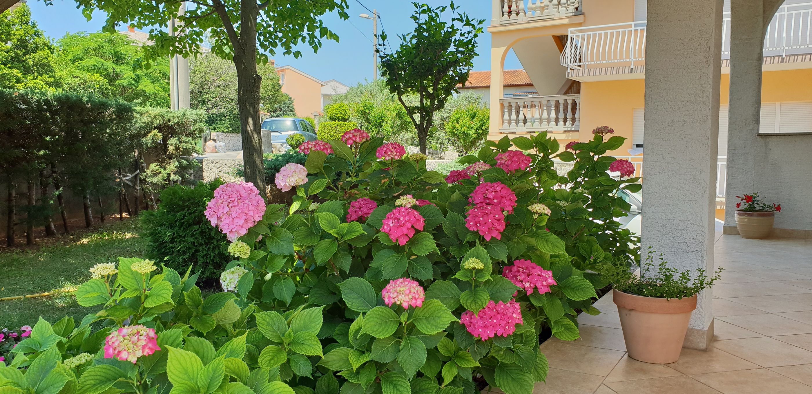 Apartment Ljiljana 85711-A1