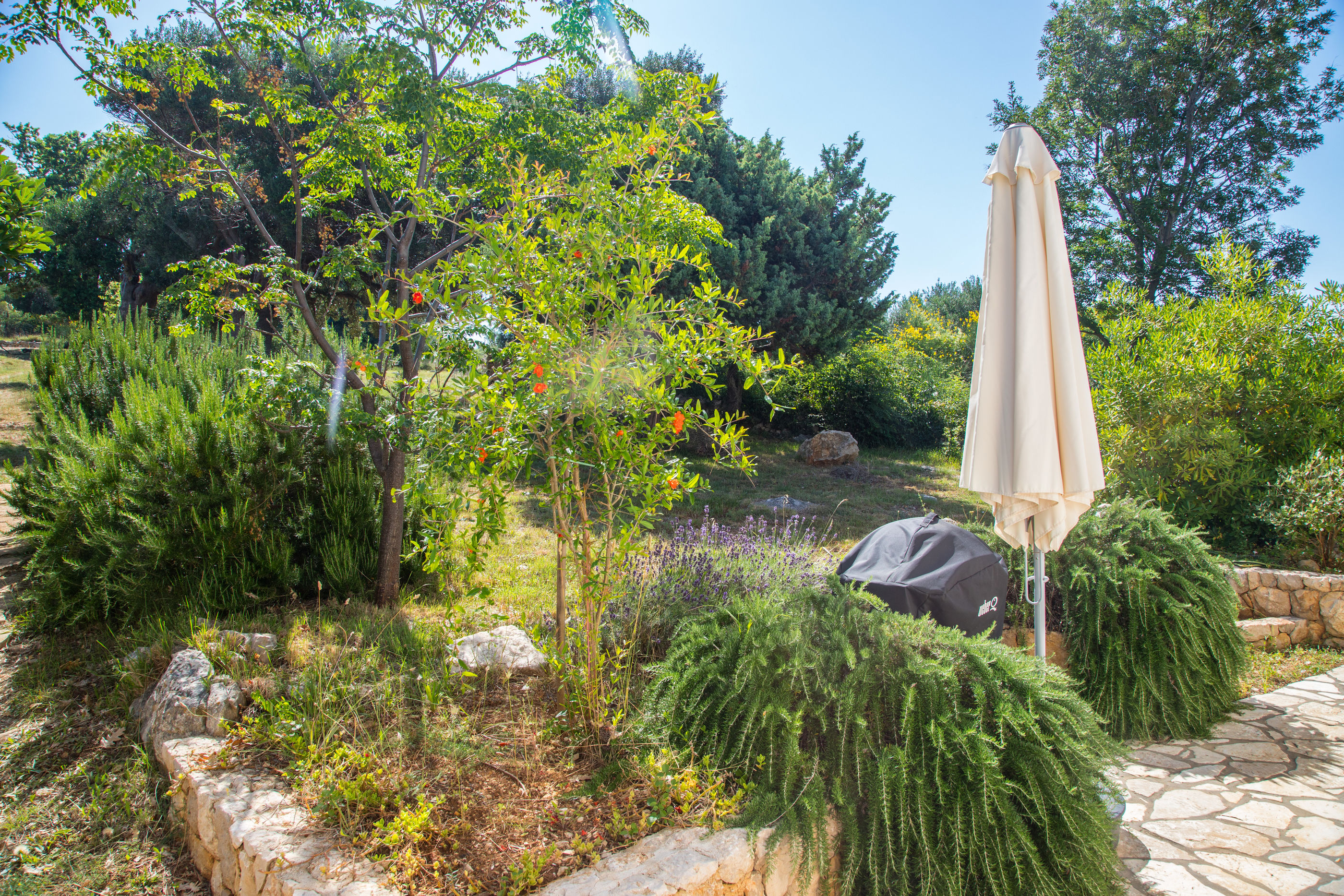 House Dubravka 57731-K1