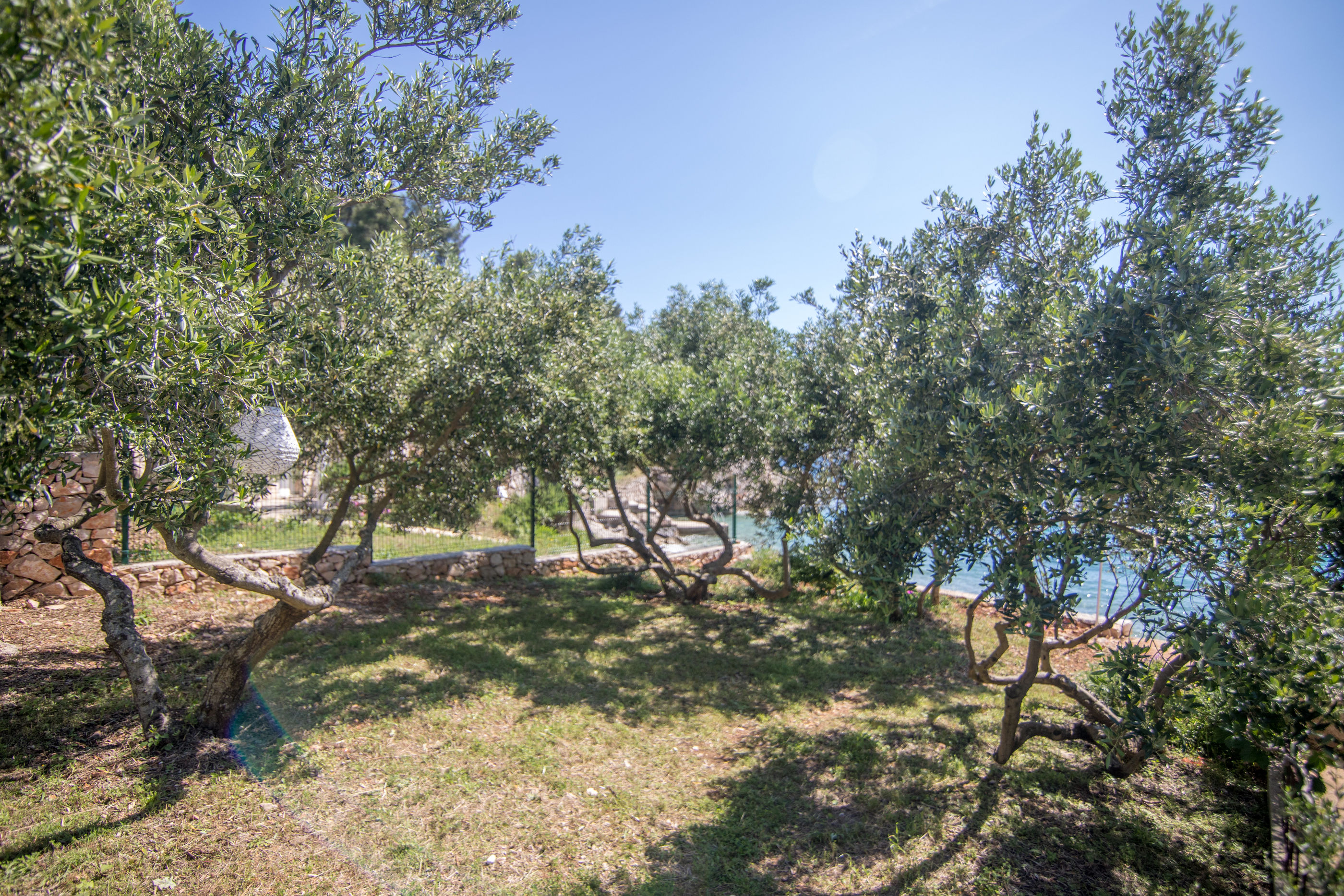 Apartments Robinzon Petar 41691-A2