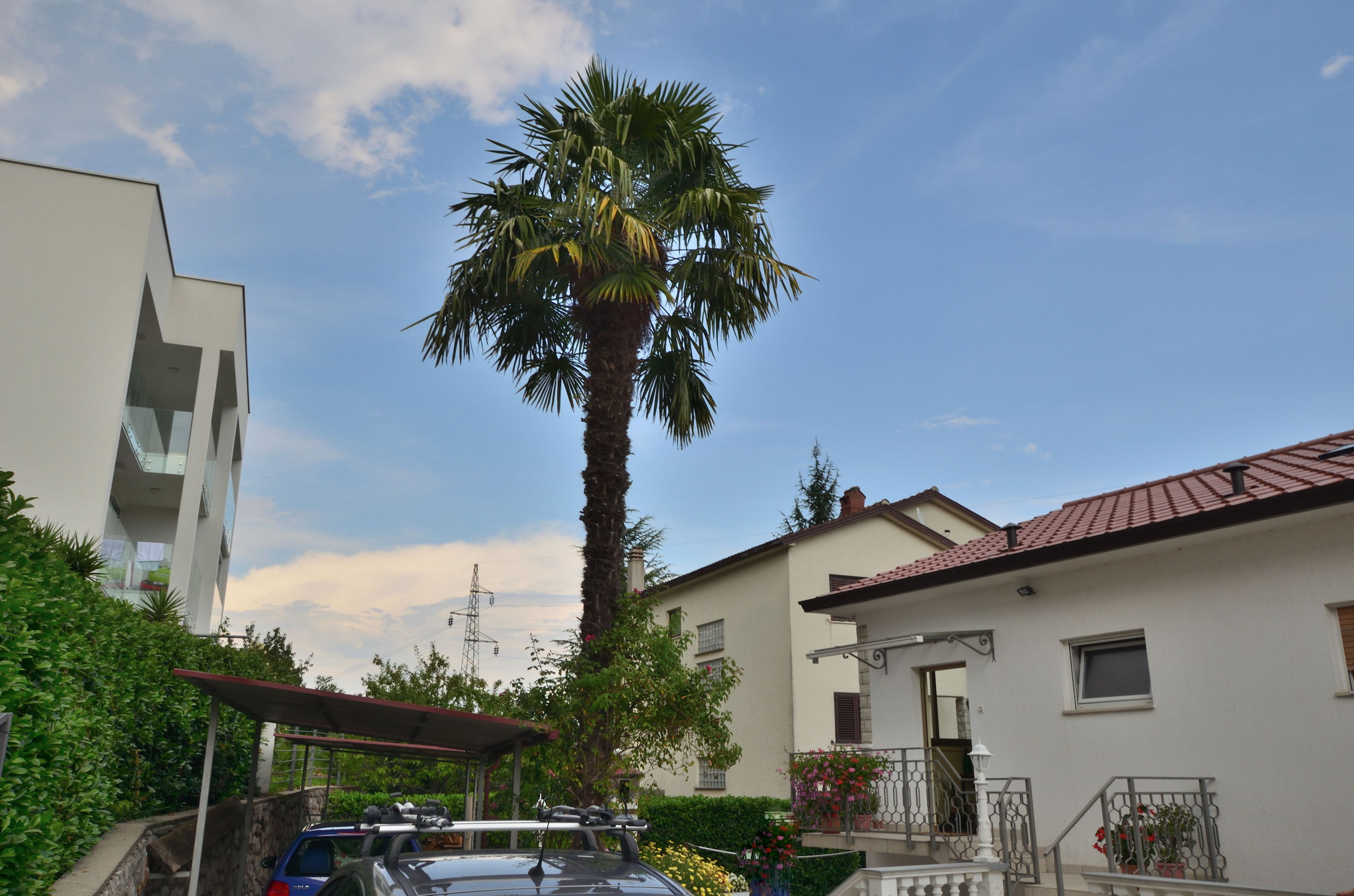 Apartment Slavica 71731-A1