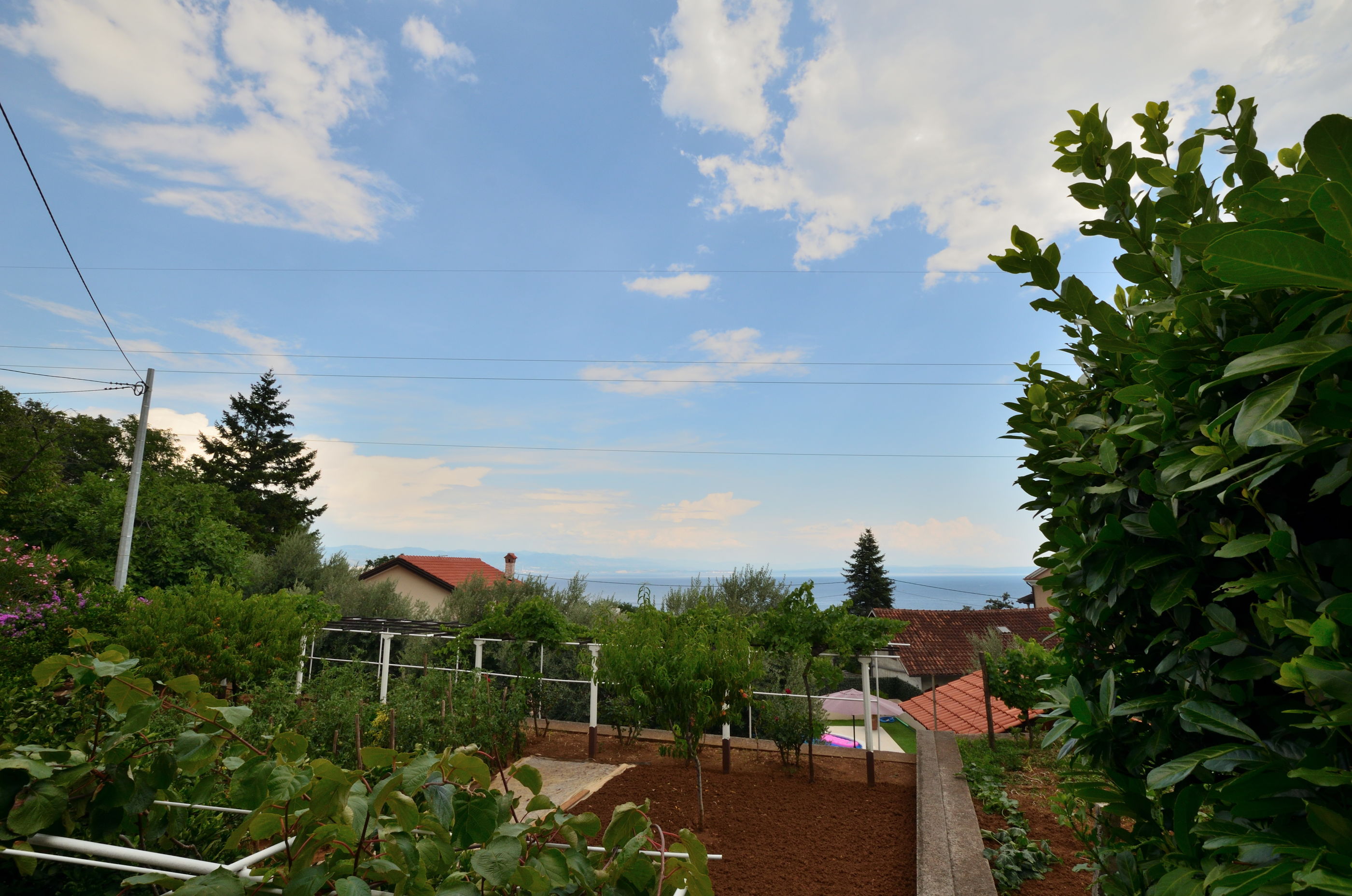 Apartment Slavica 71731-A1