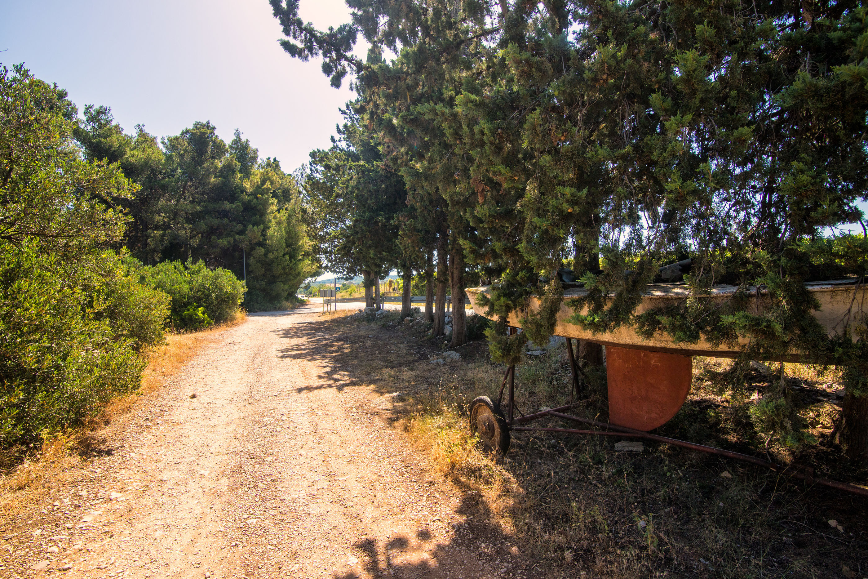Apartments Jakov 41861-A1
