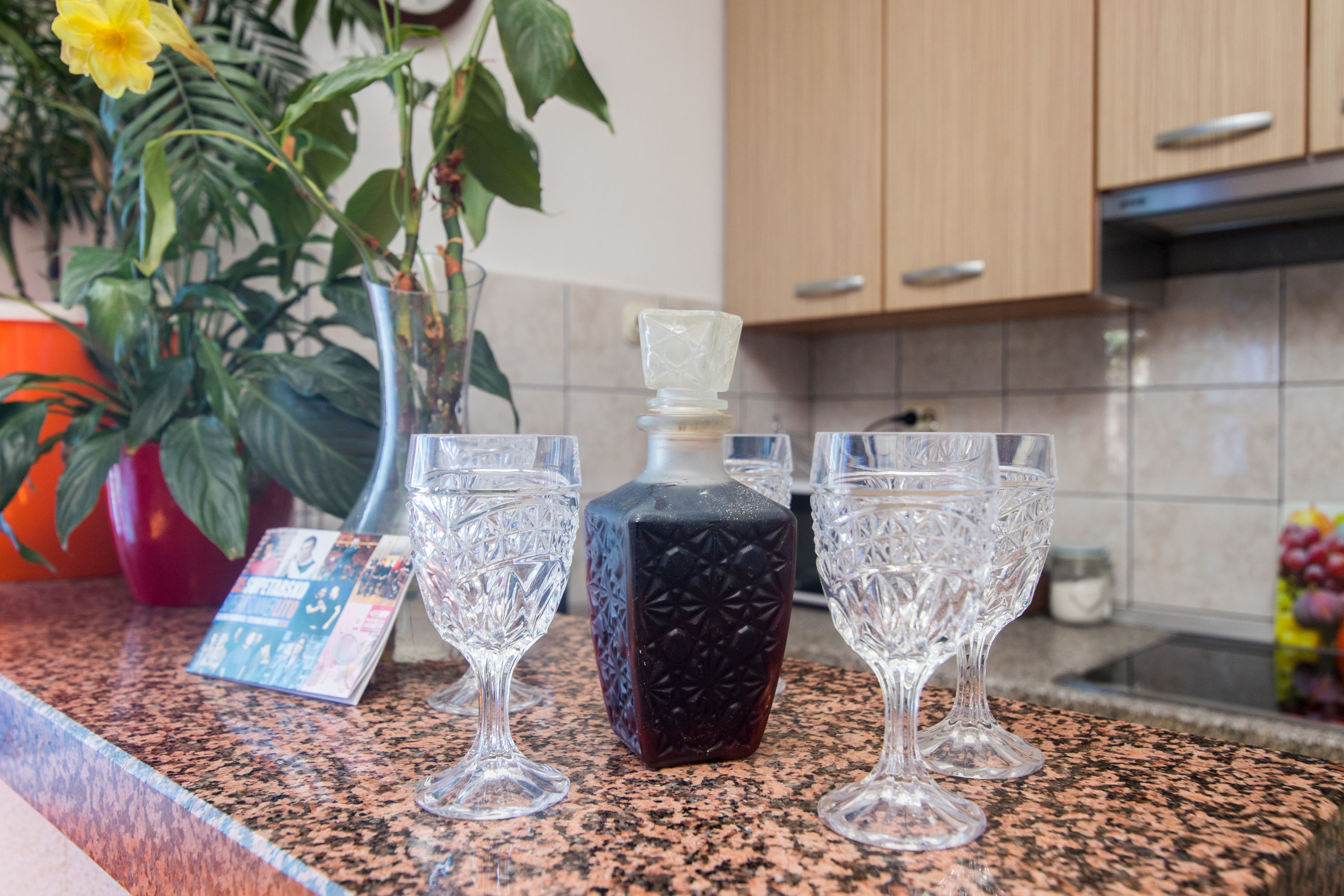 Apartments Jakov 41861-A1