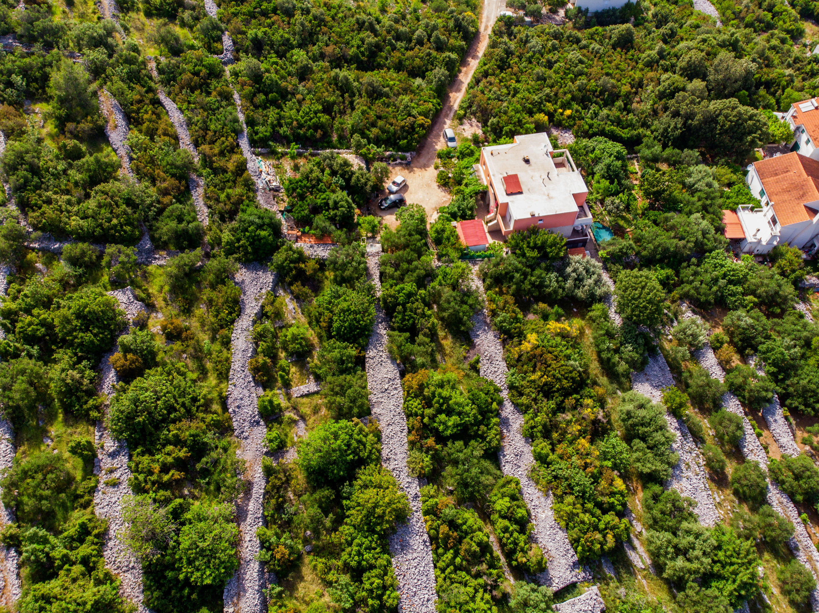 Apartment Slavka 51511-A1