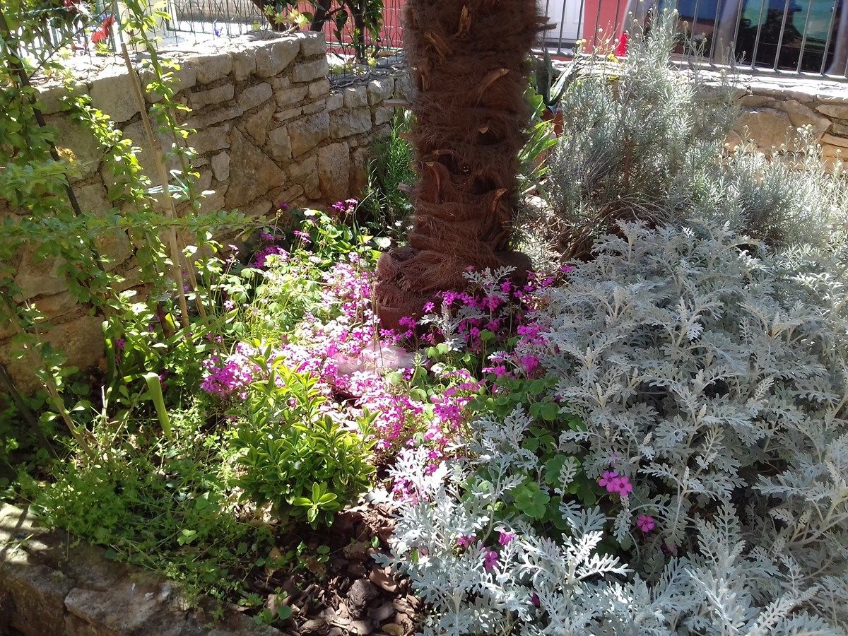 Kuća za odmor House Mladen K1