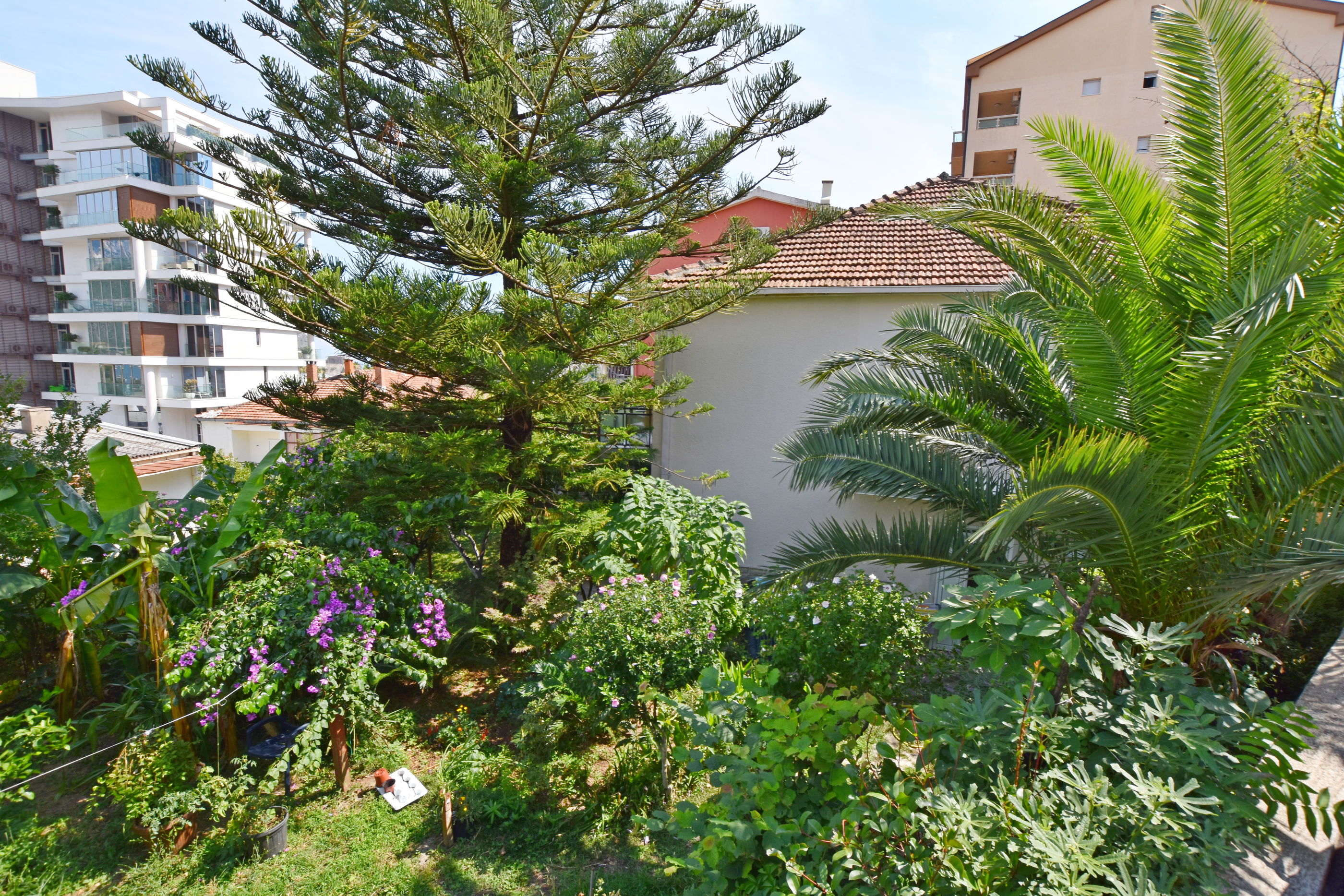Apartments Ivanović 92981-A2