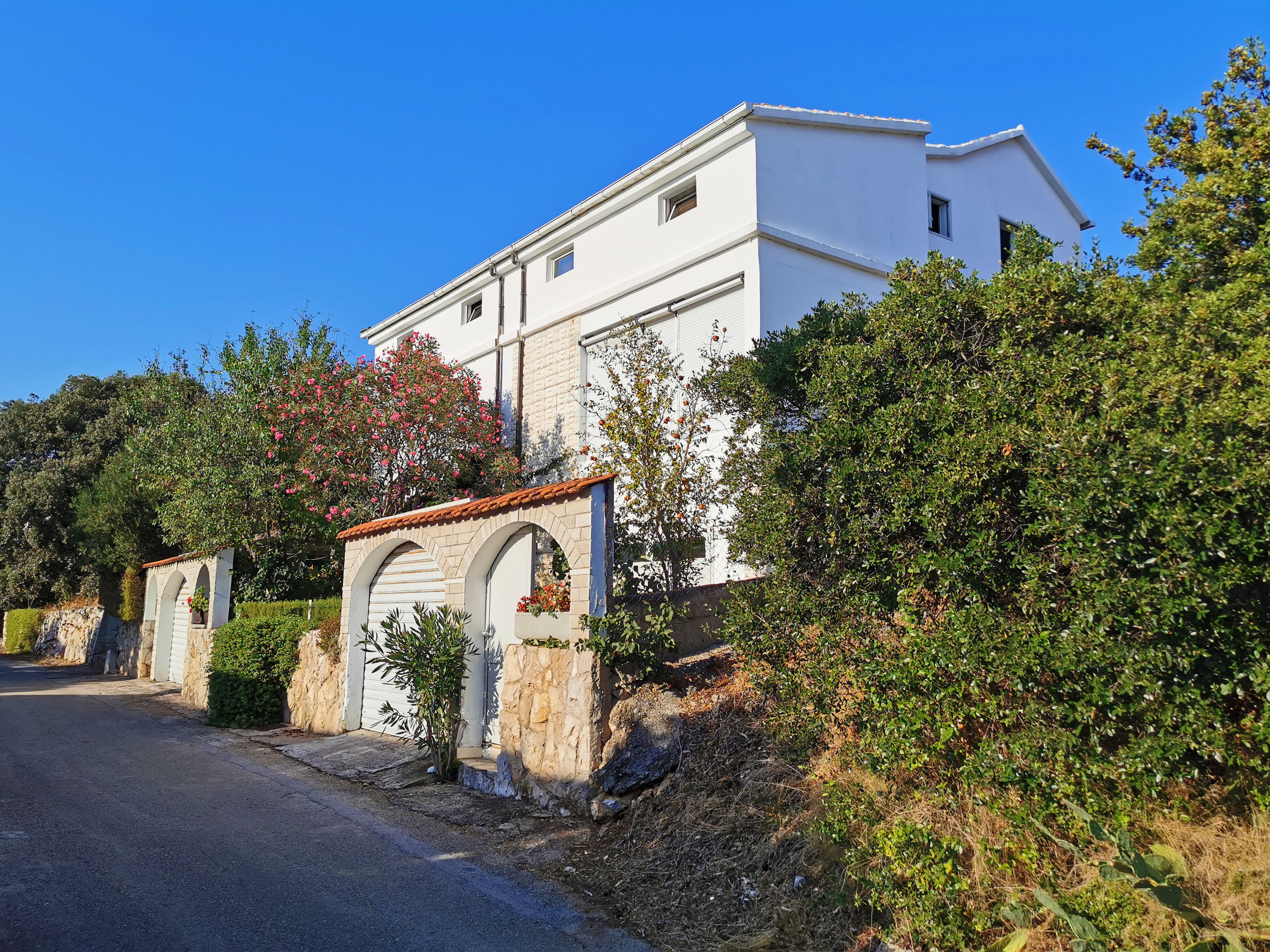 Apartment Ljubica 50991-A1