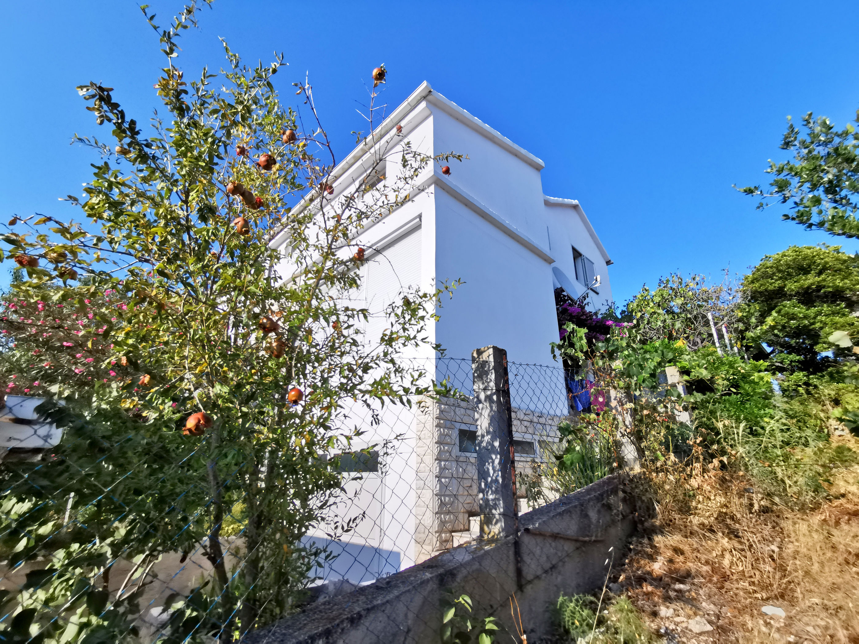 Apartment Ljubica 50991-A1