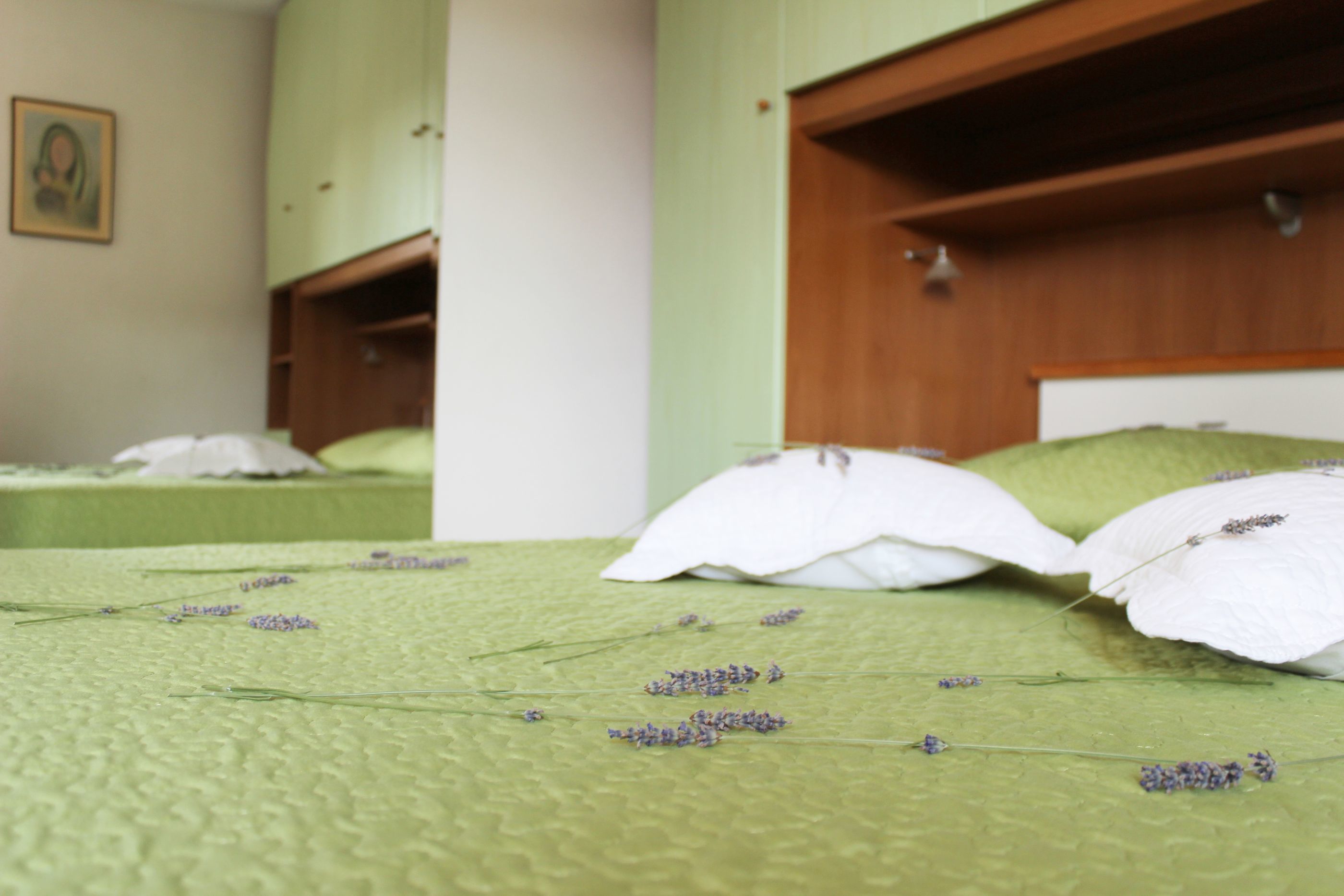 Apartments Ruža vjetrova 34541-A1