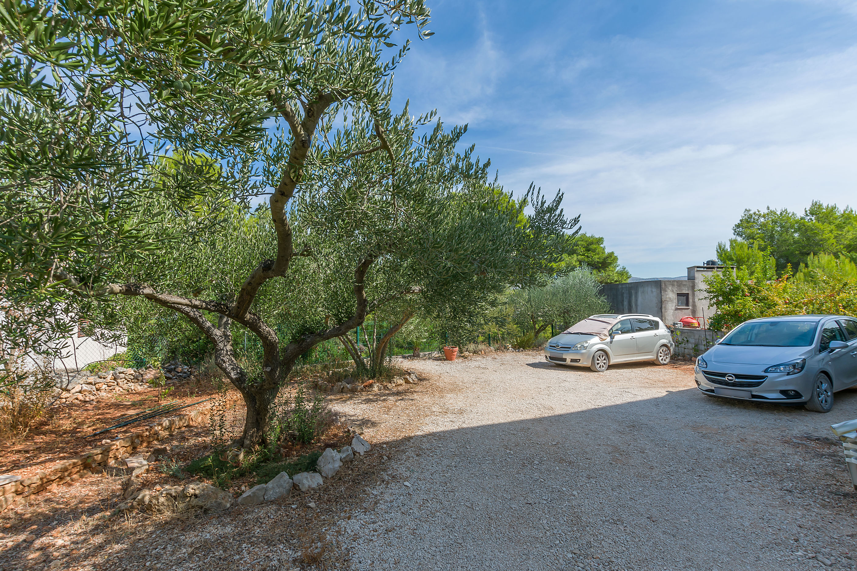 Apartment Vesna 72231-A1