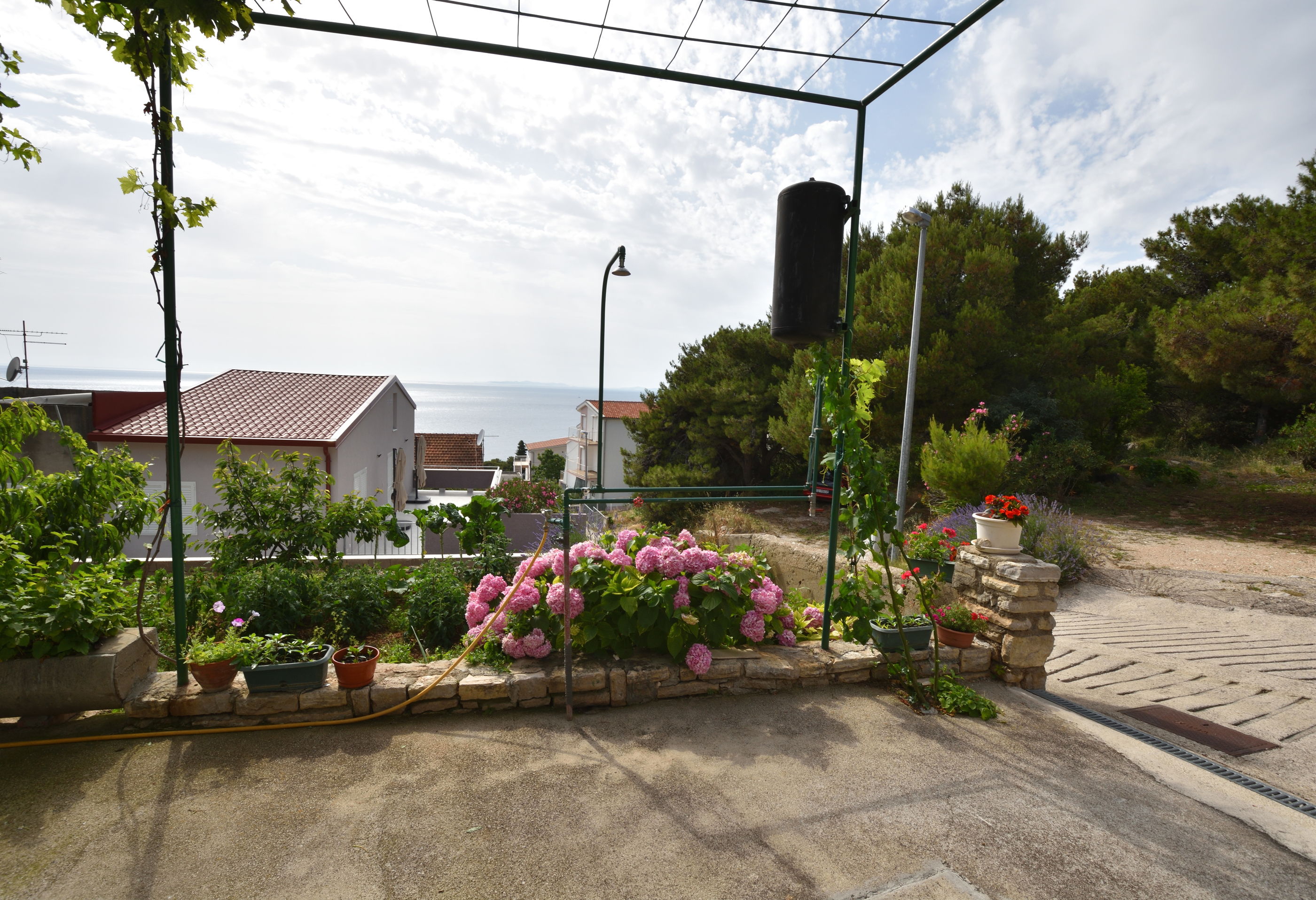 Apartment Anka 41315-A1