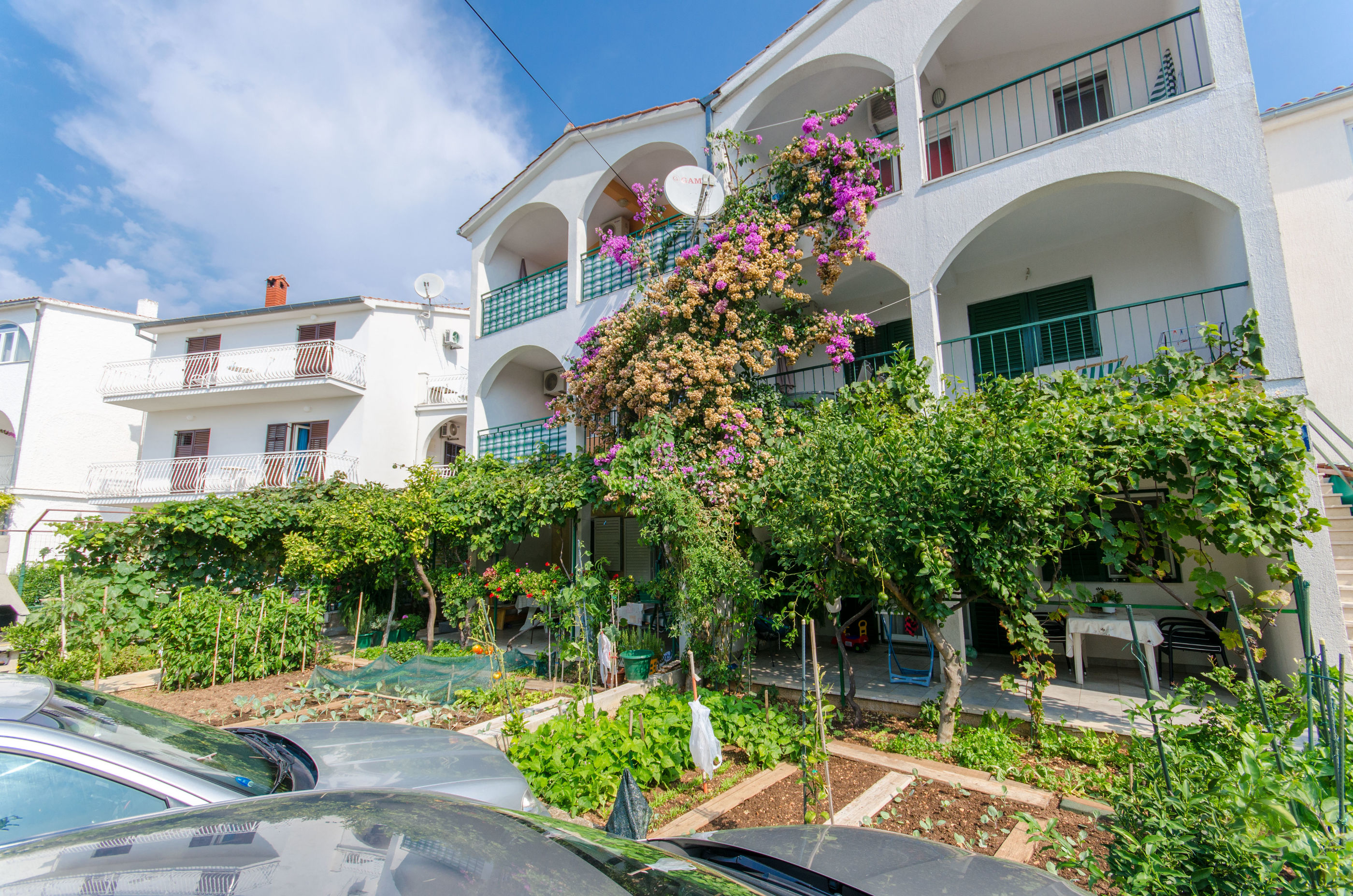 Apartments Zoric 73521-A2