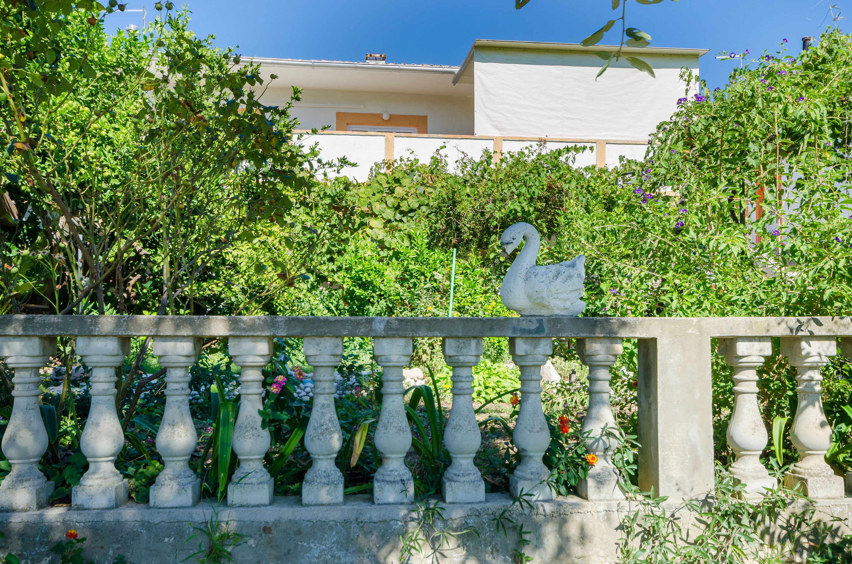 Apartments Elvira 86961-A2