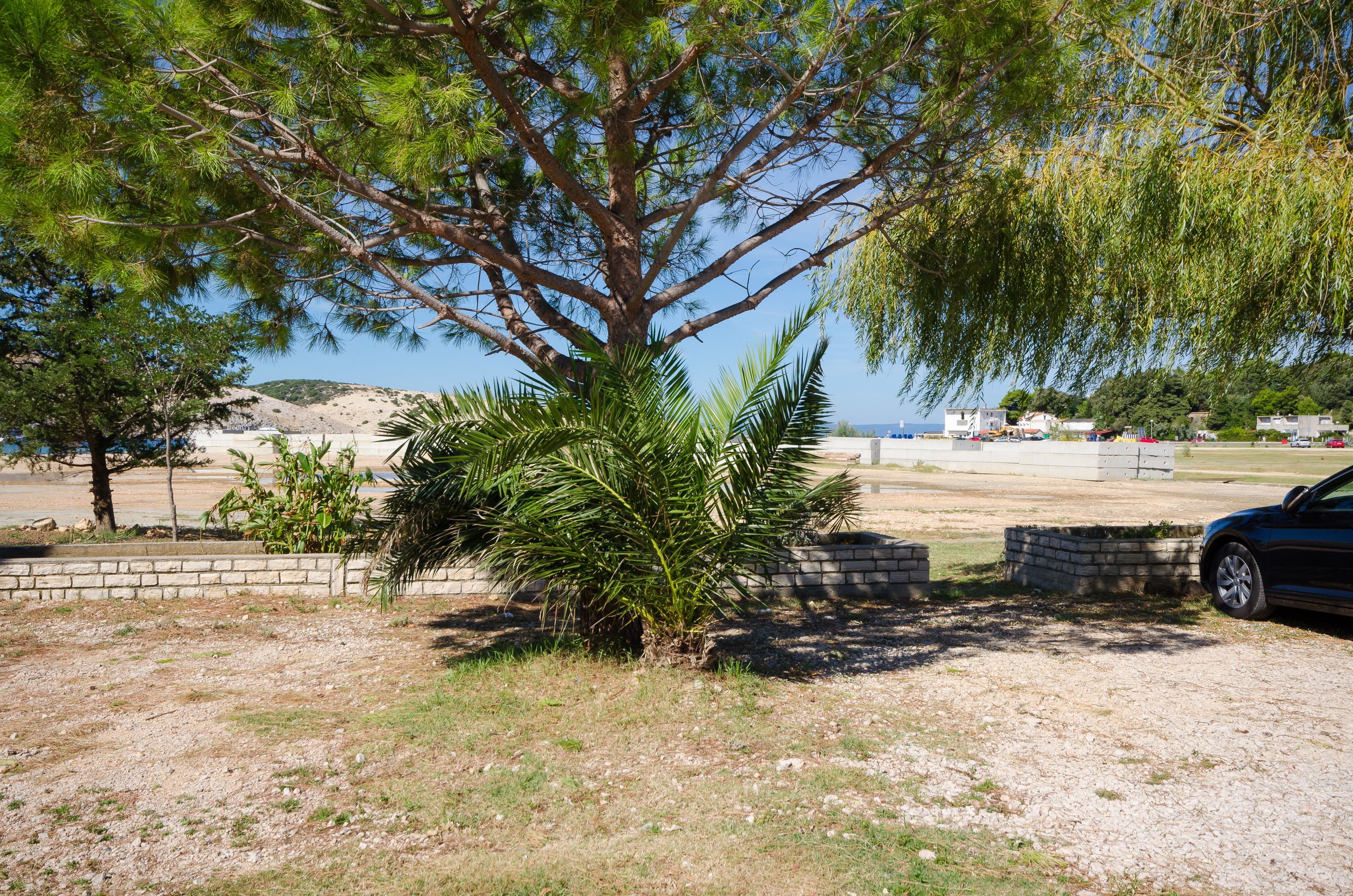 Photo of Apartment Ruza