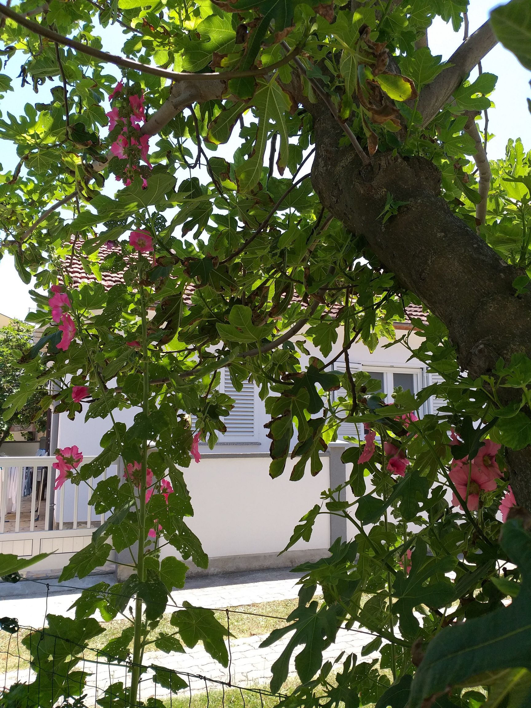 Apartment Barbara 74071-A1
