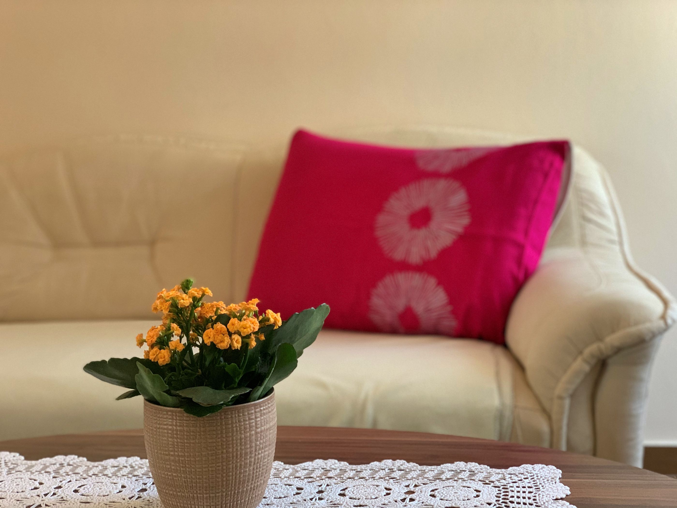Apartmani Kirinčić N. A1
