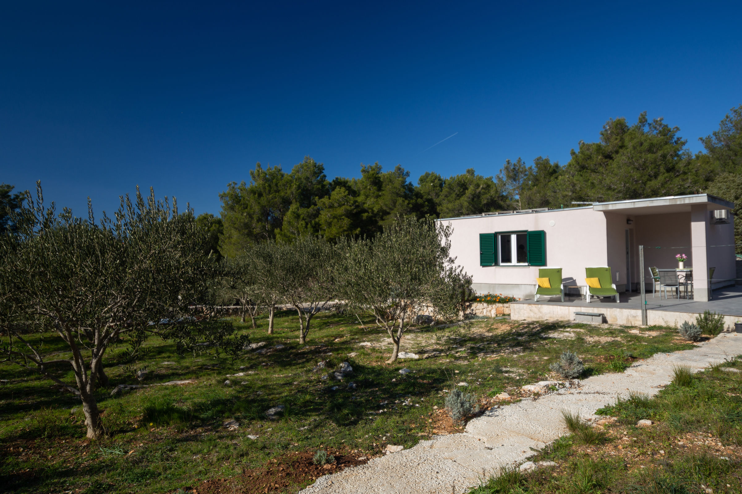 House Olive Eden 54038-K1