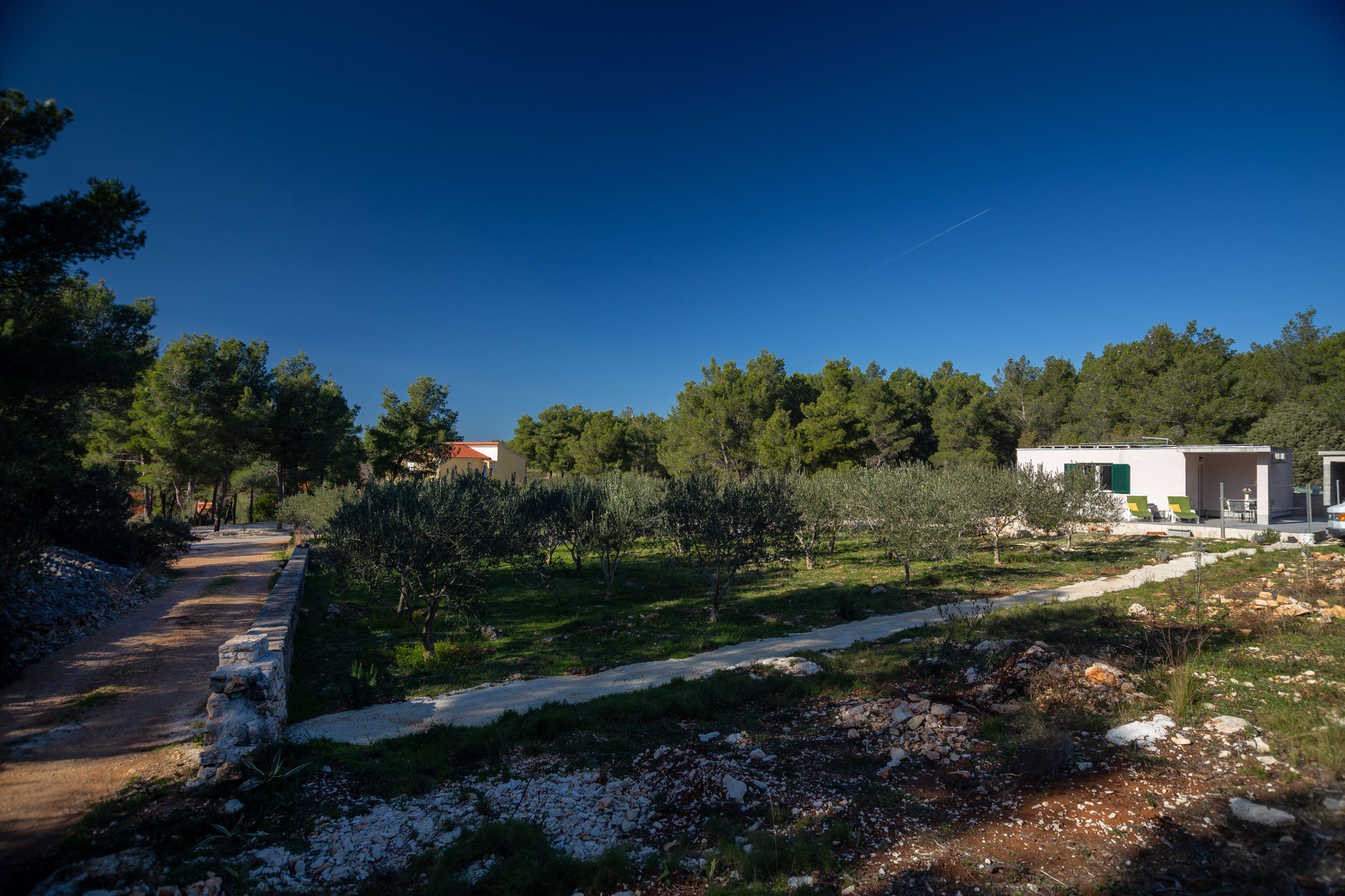 House Olive Eden 54038-K1