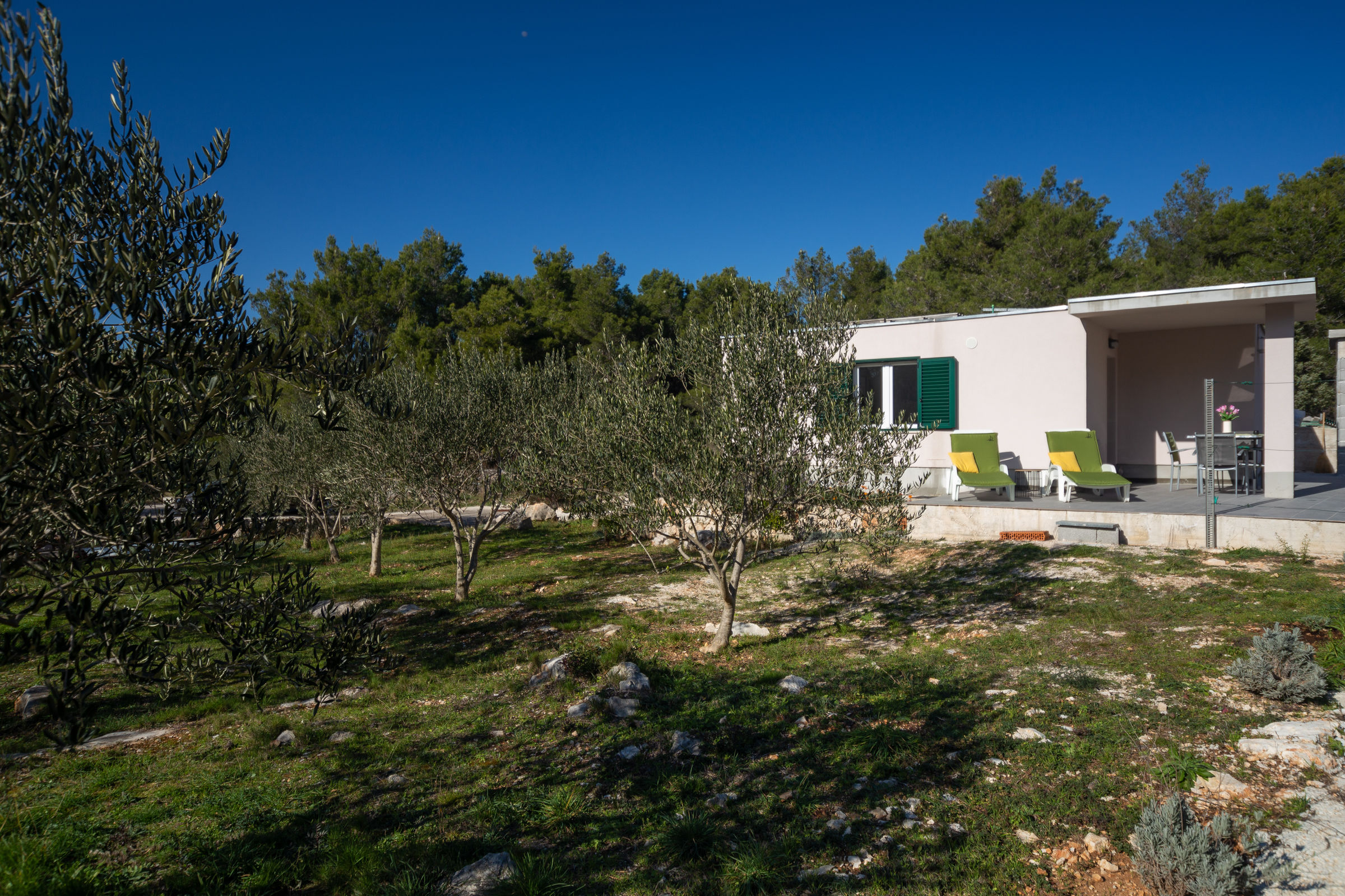 House Olive Eden 54038-K1