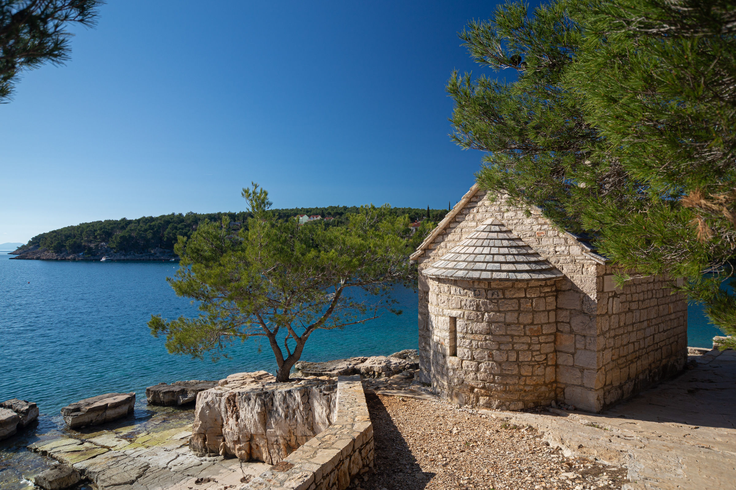 House Olive Eden 54038-K1