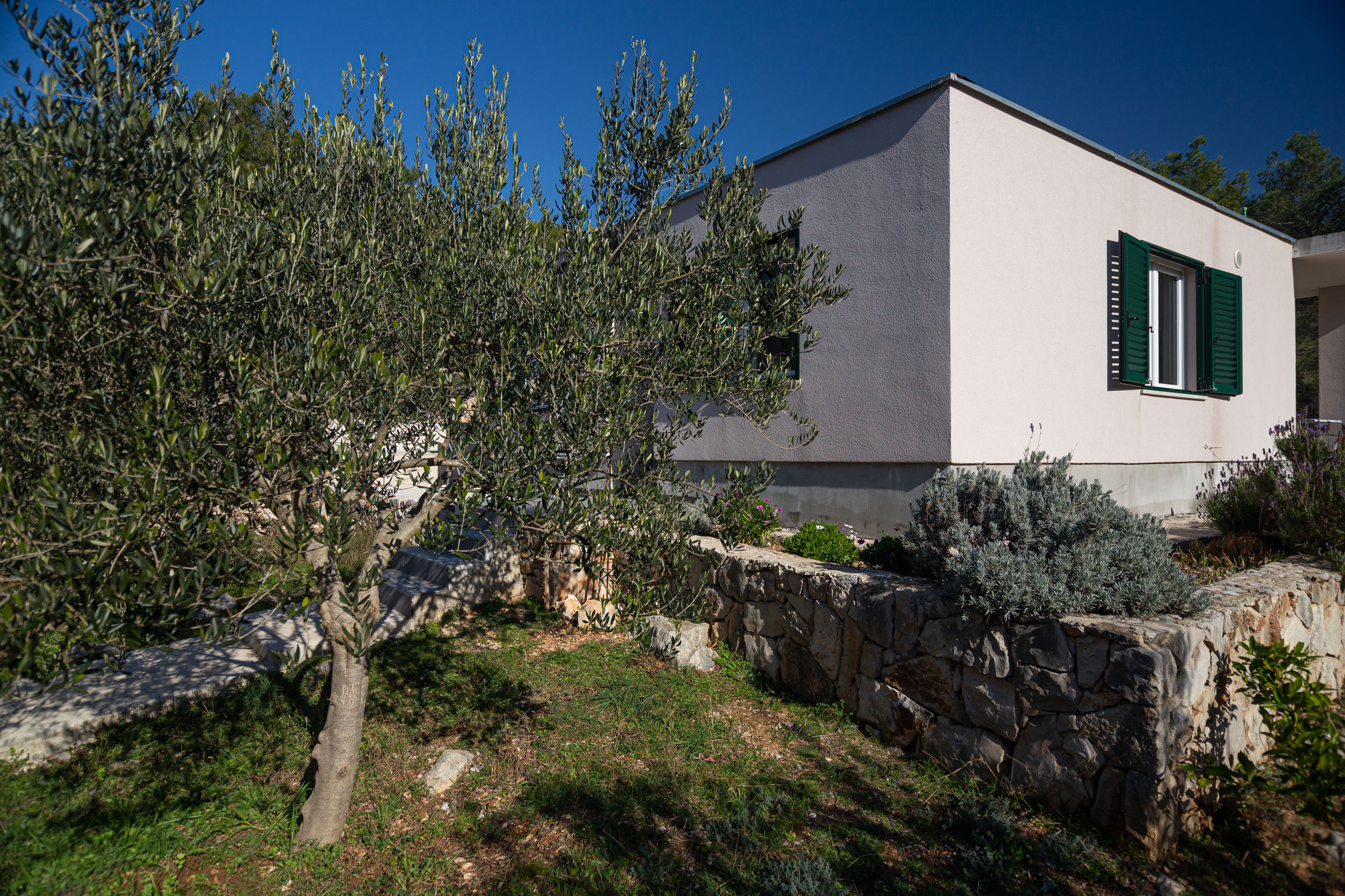 House Olive Eden 54038-K1