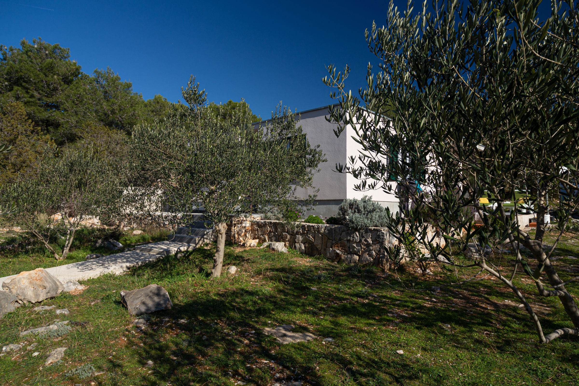 House Olive Eden 54038-K1