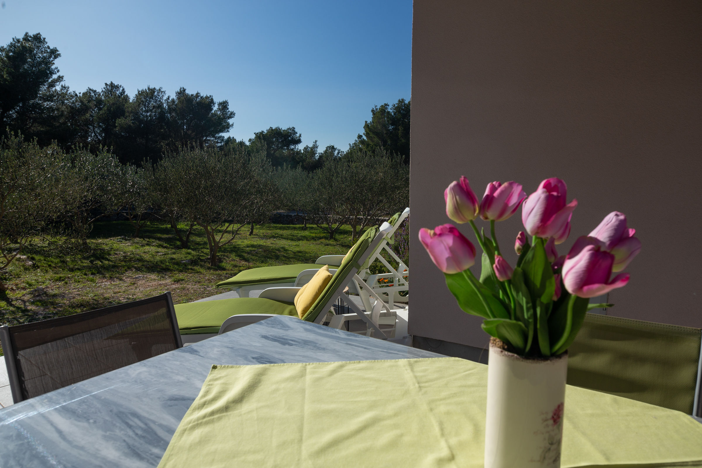 House Olive Eden 54038-K1