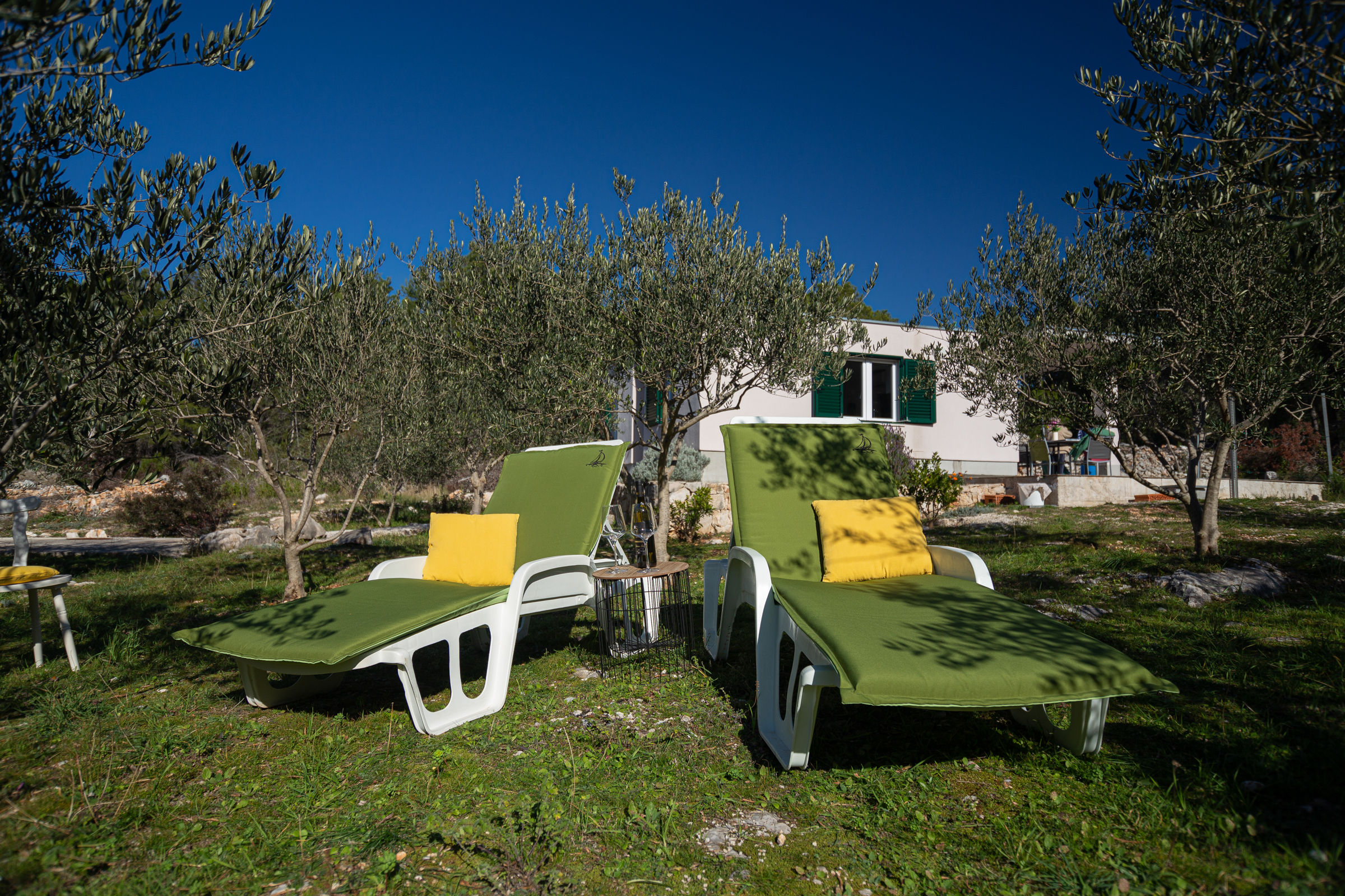 House Olive Eden 54038-K1