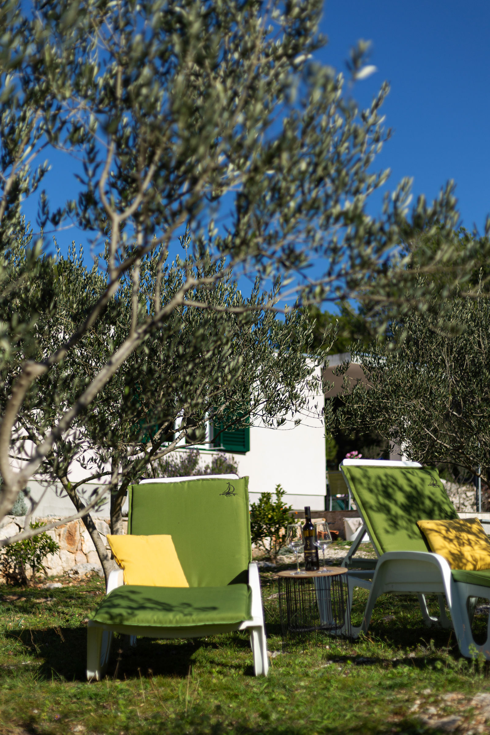 House Olive Eden 54038-K1