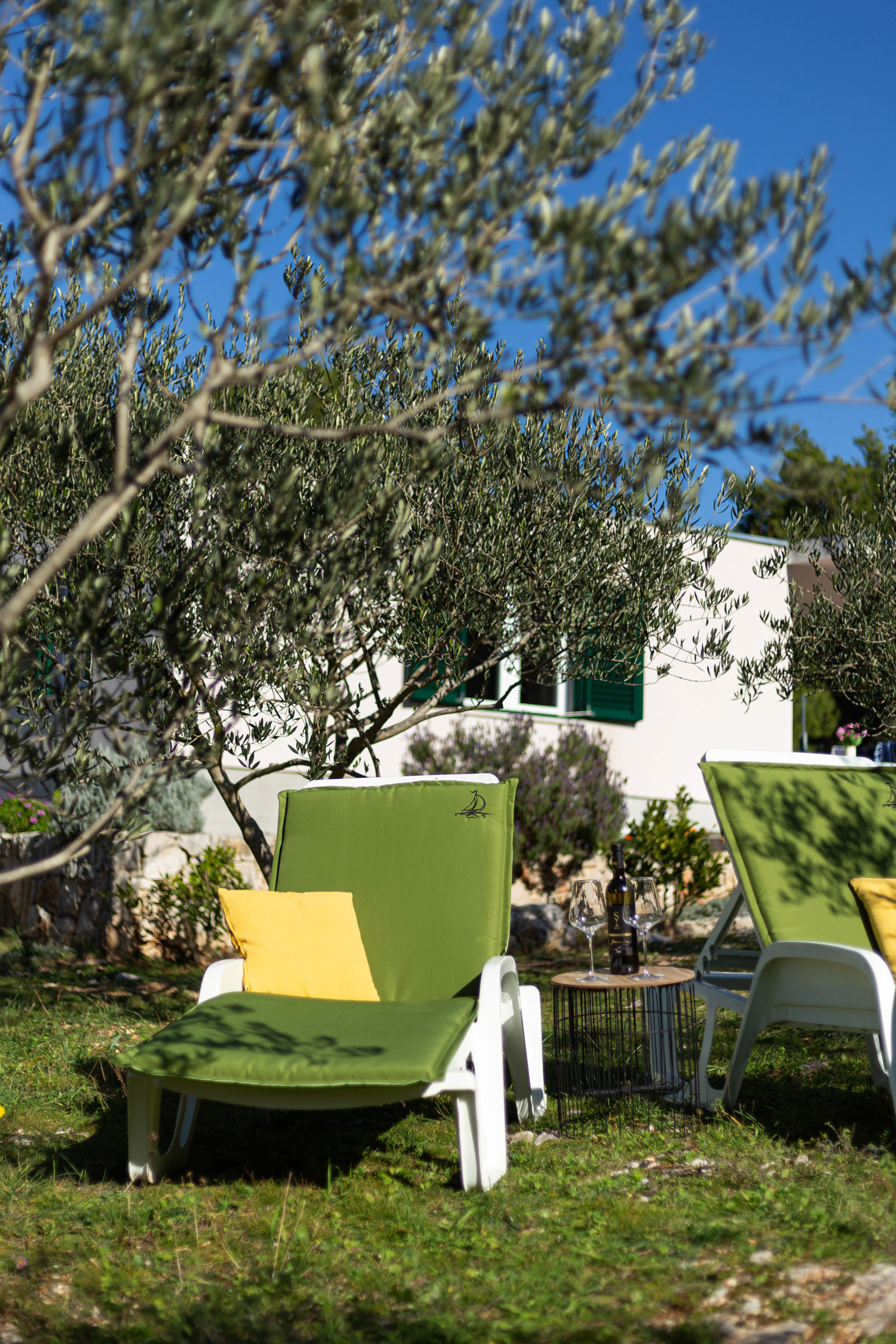 House Olive Eden 54038-K1