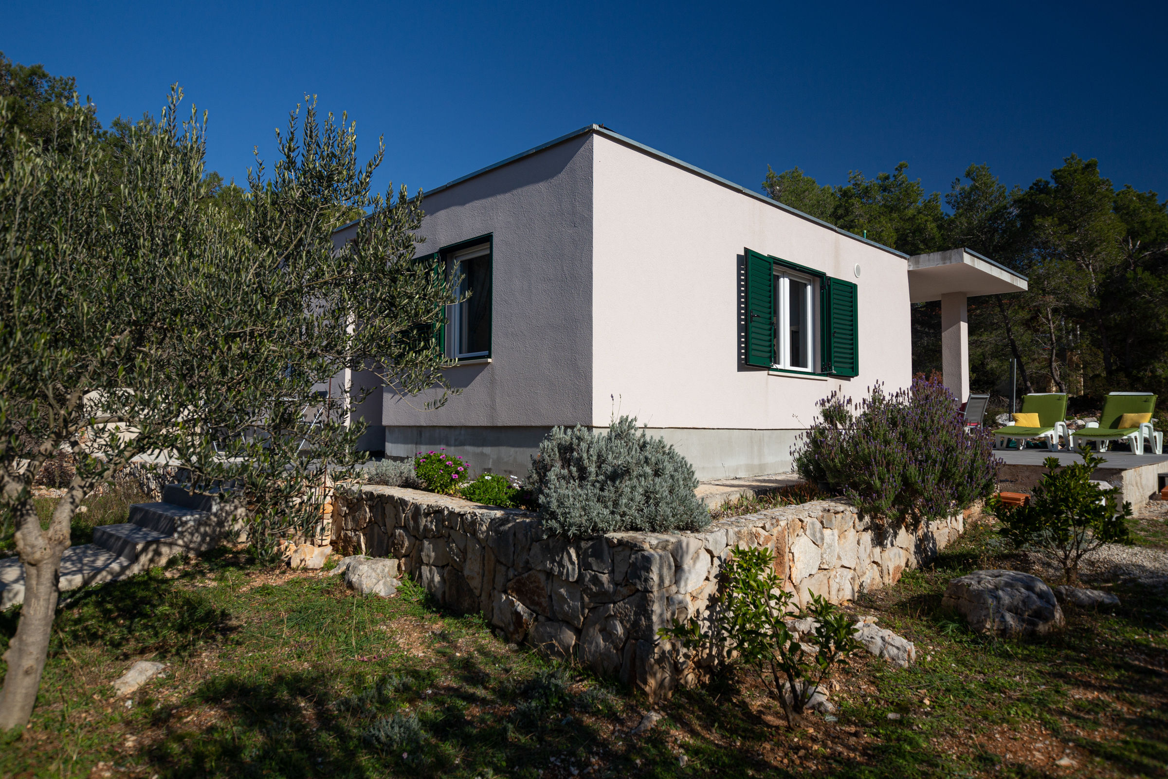 House Olive Eden 54038-K1