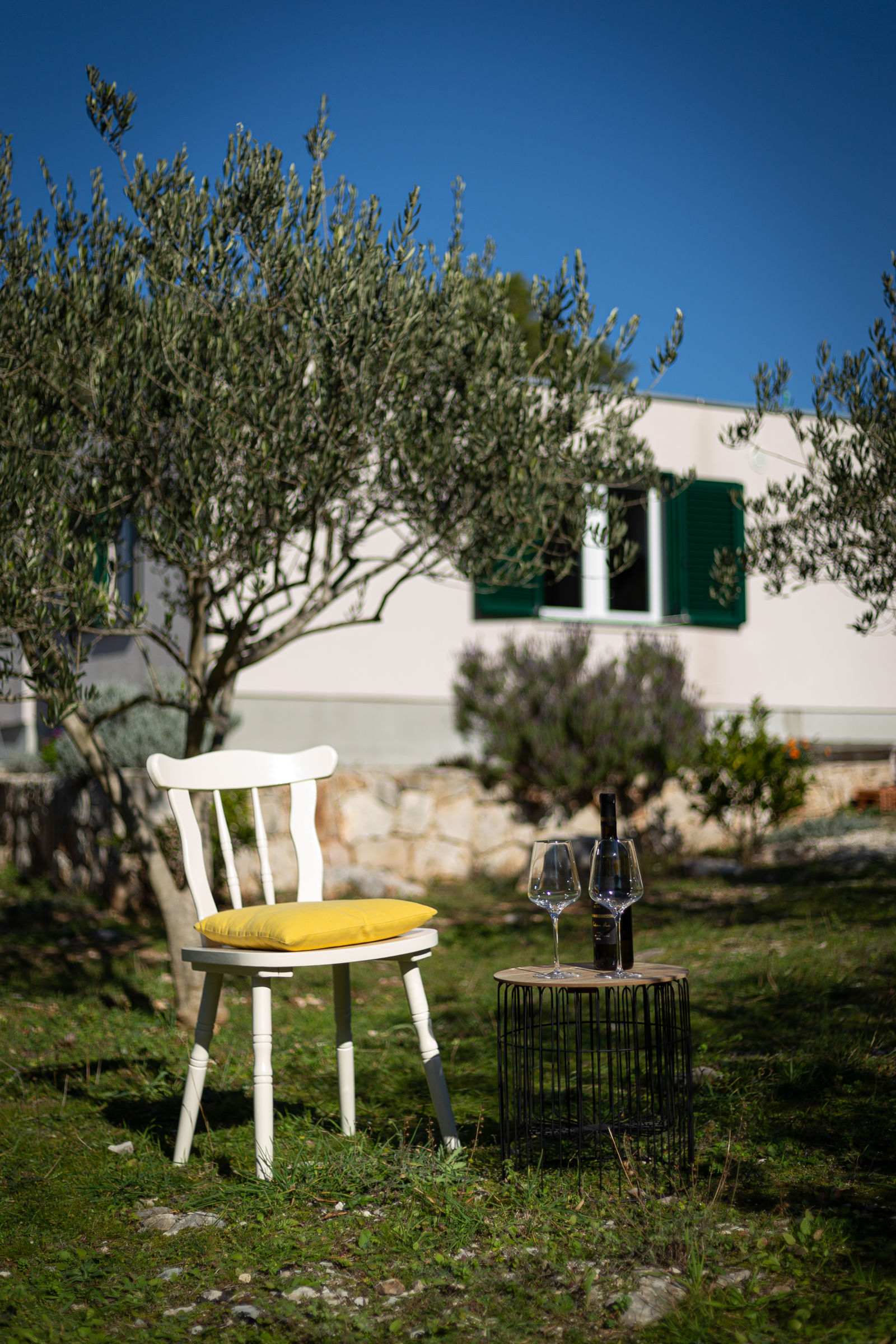 House Olive Eden 54038-K1