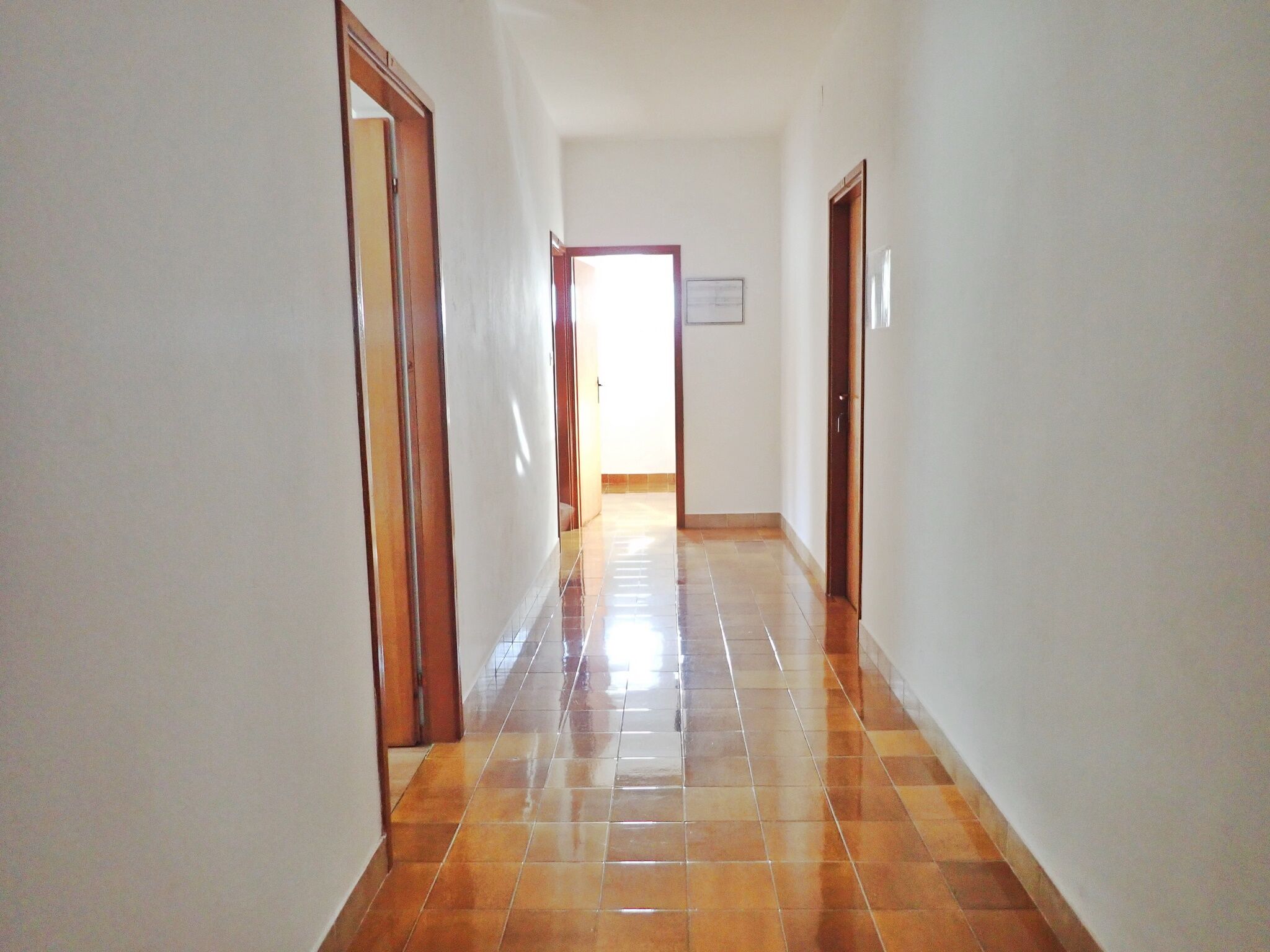 Apartments Sidro-by the sea 41534-S1
