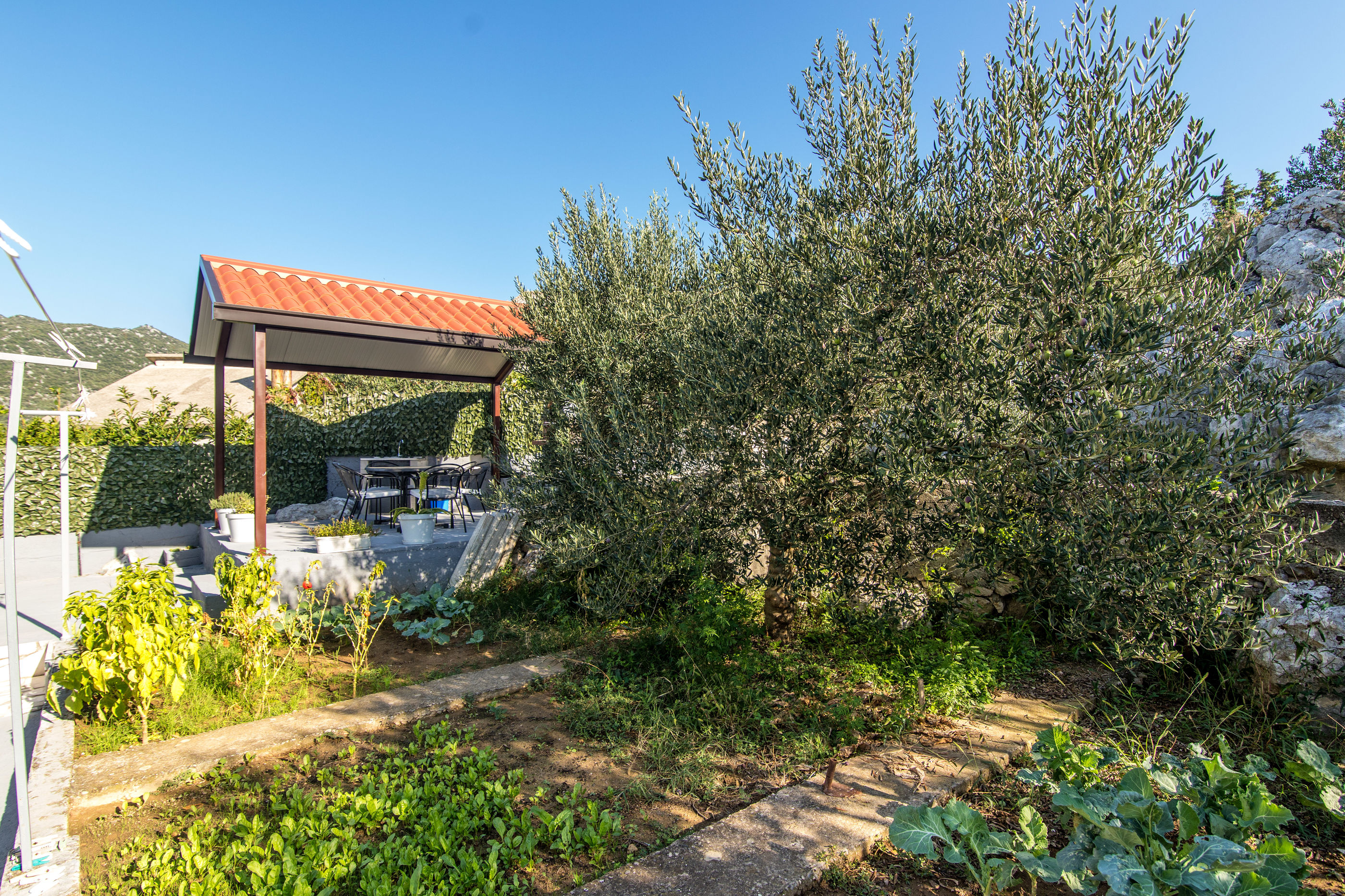 Apartment LORO 63721-A1