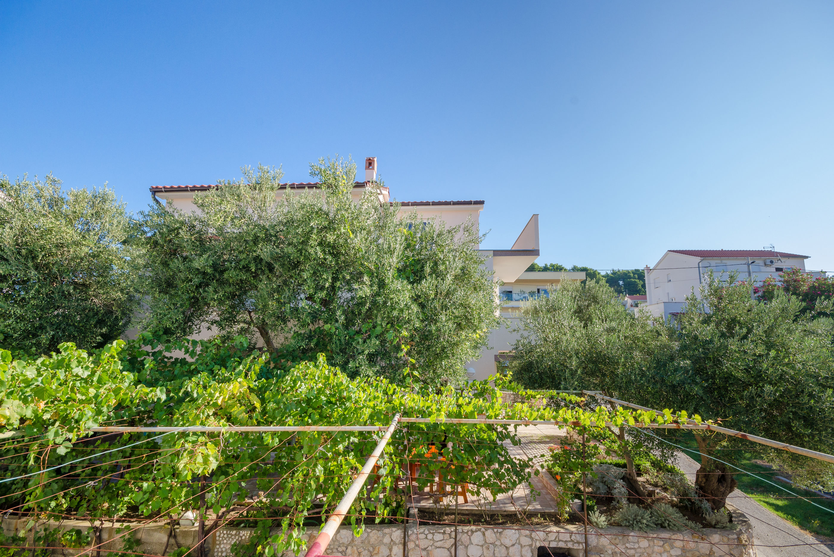 Photo of Apartments Blaženka