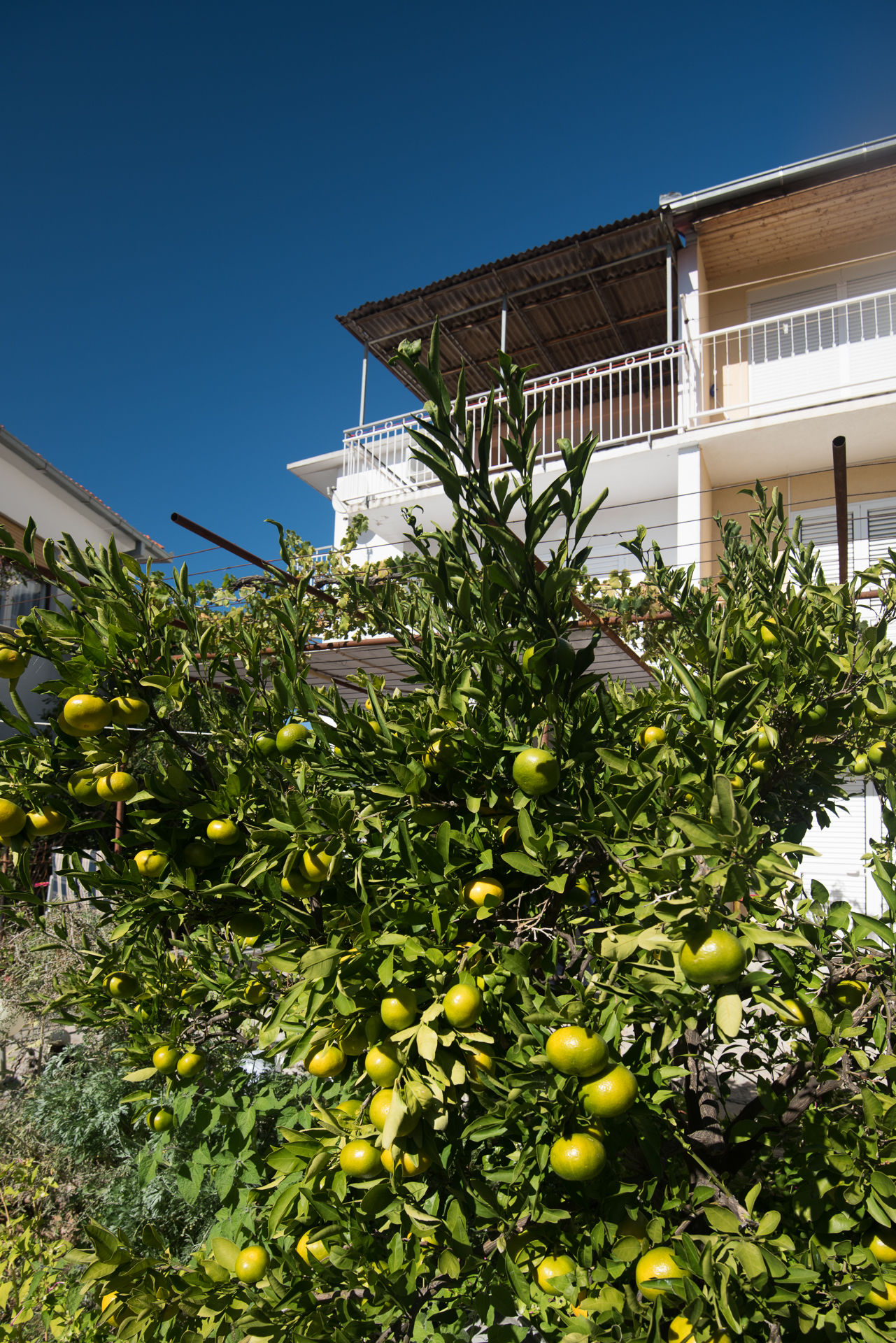 Apartments Zuljevic 39621-A2