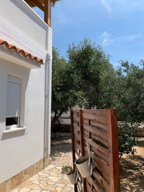 Apartments Pavle 39231-A1