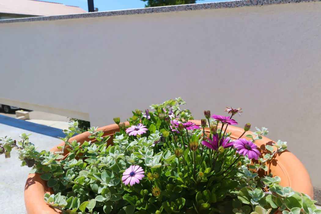Apartments ŠKODA II 25212-A2