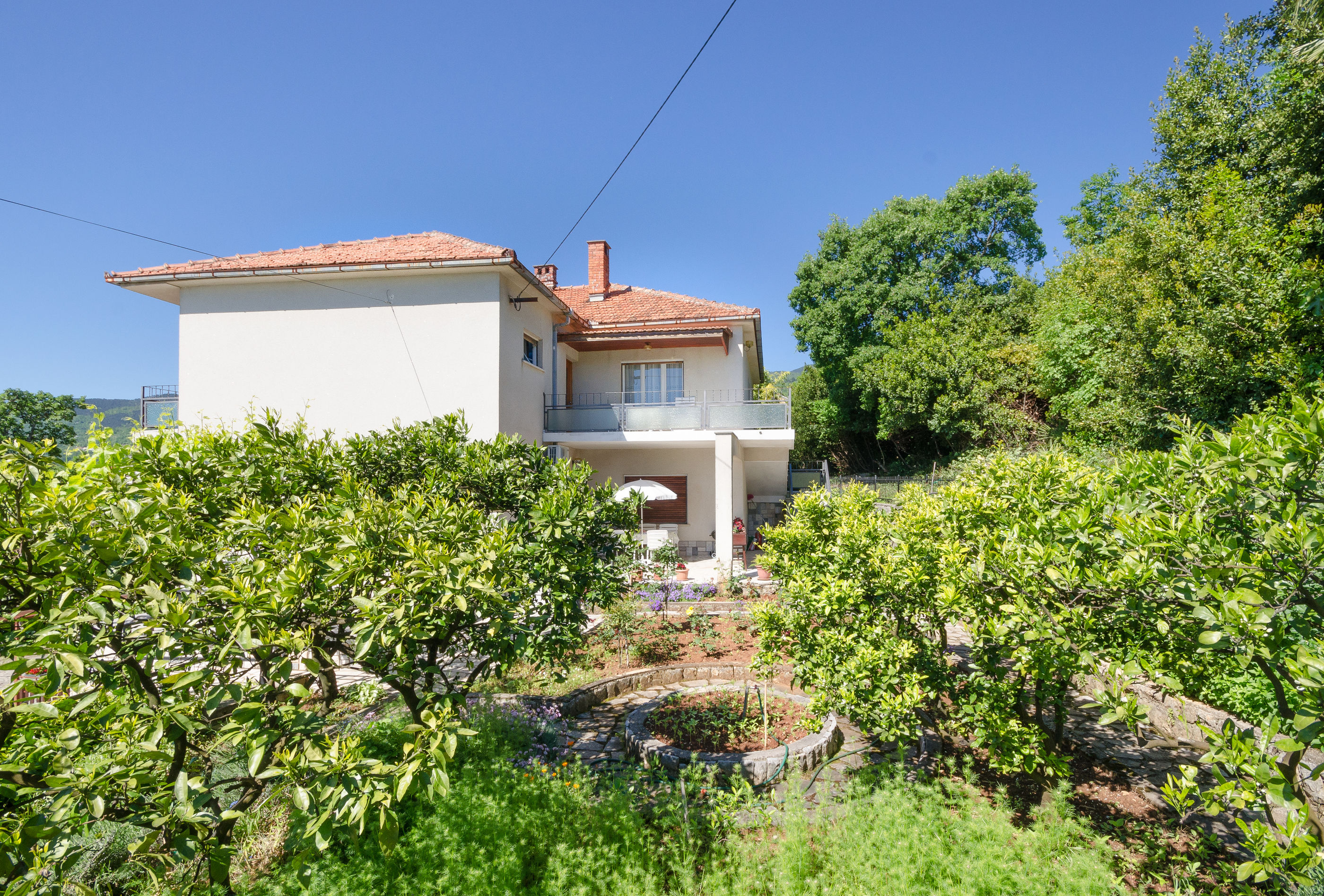 Apartments Mladen Jelica 68921-A2