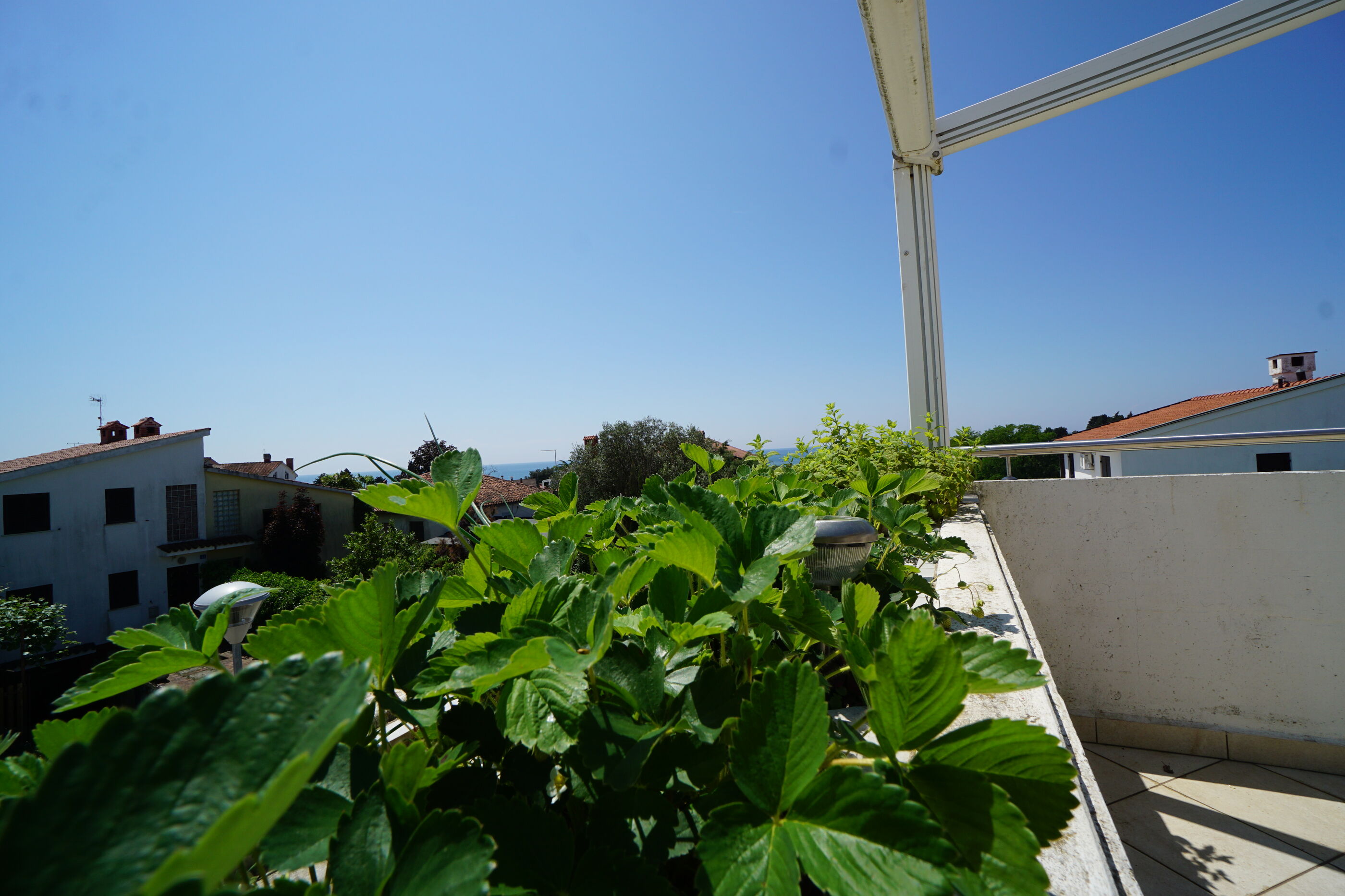 Apartment CARLI 34364-A1