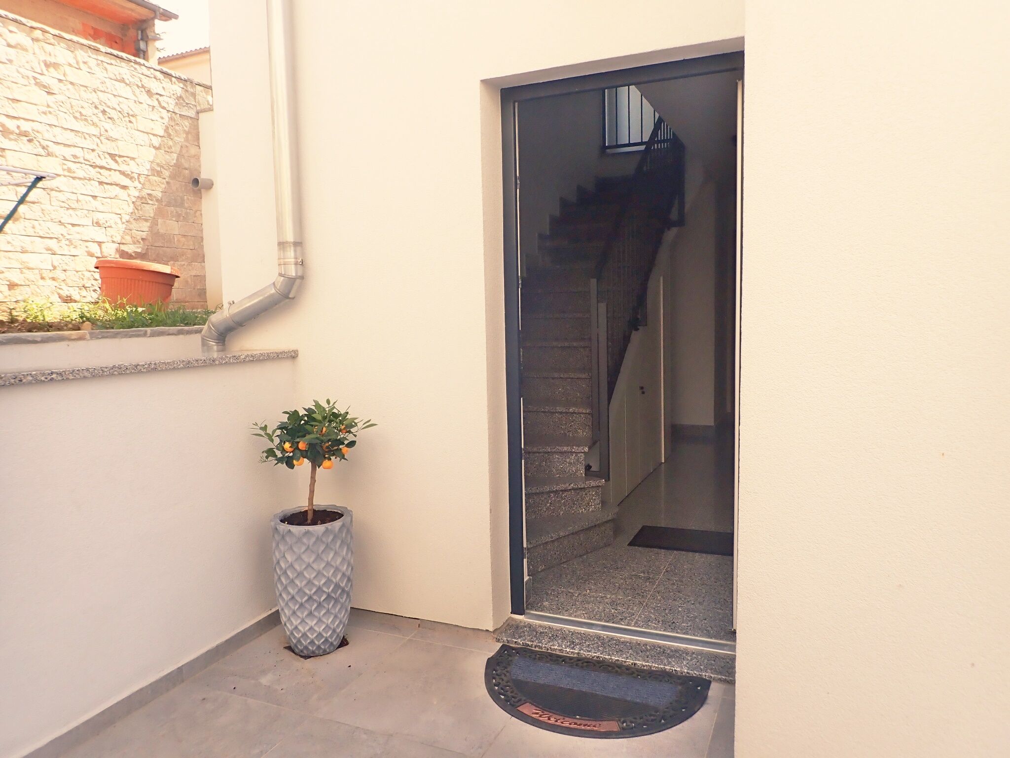 House Dragica 41533-K1