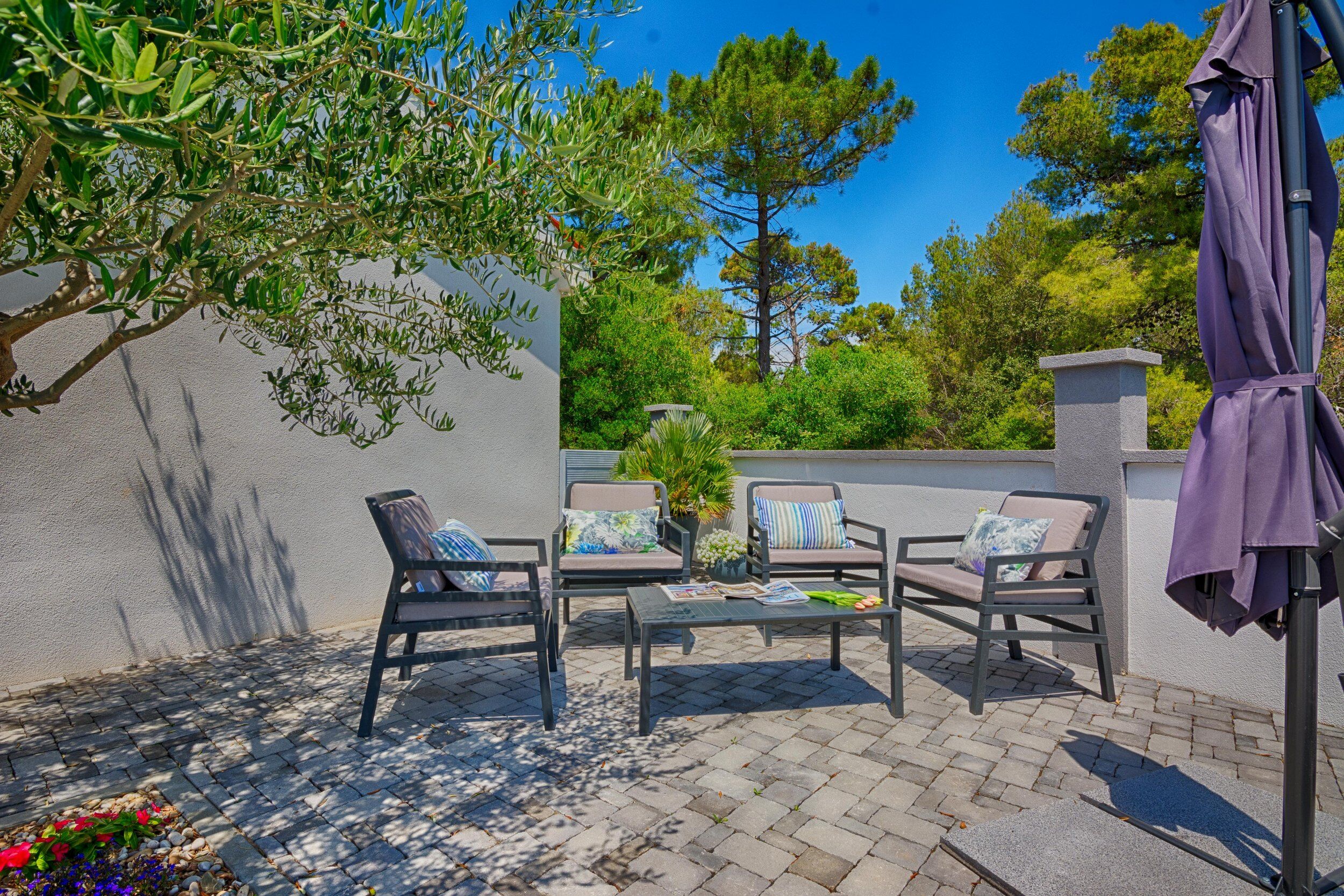 Apartments Basic Vesna 18439-A2